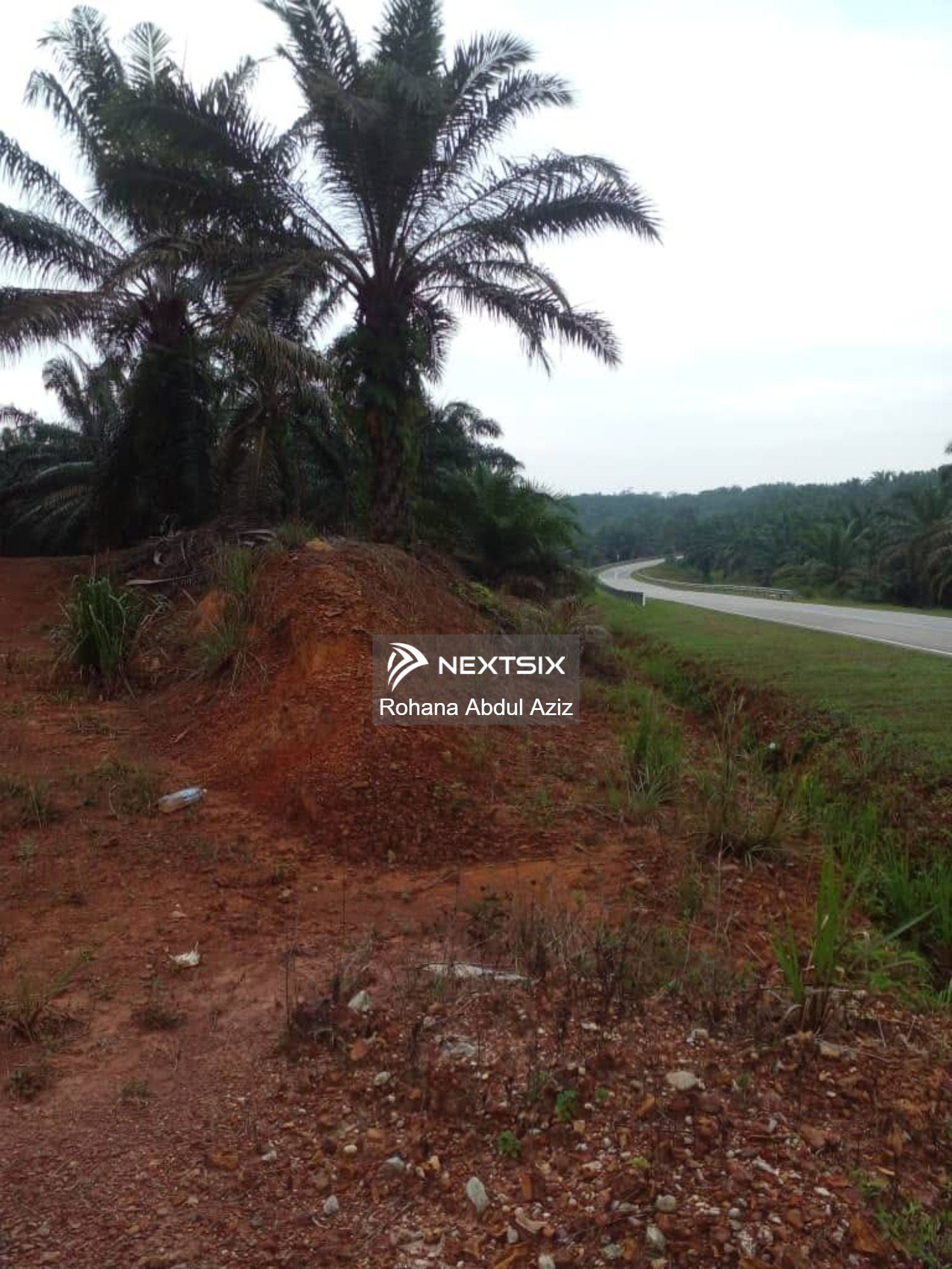 Agricultural Land For Sale in Jementah Johor - Image 2