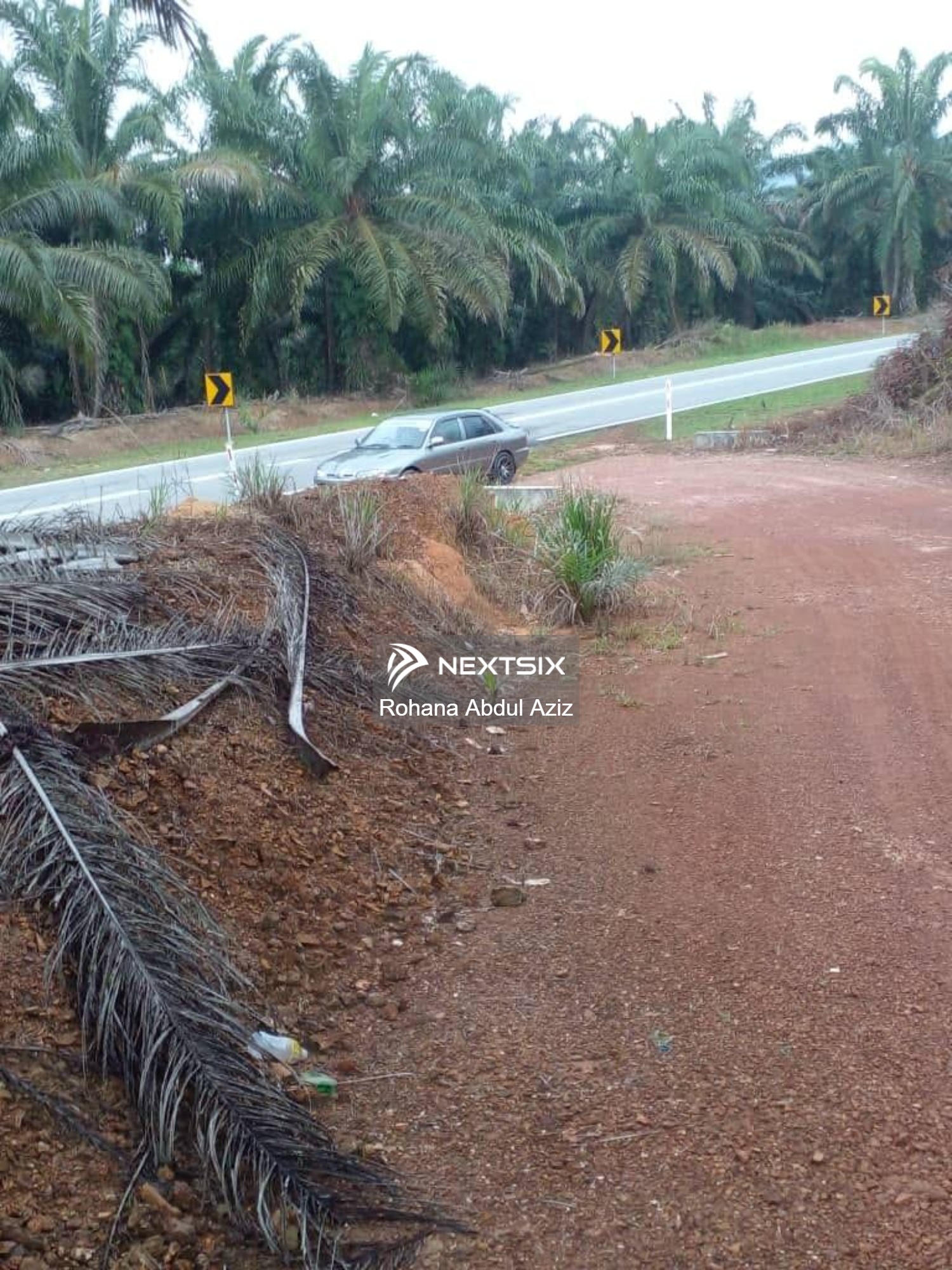Agricultural Land For Sale in Jementah Johor - Image 3