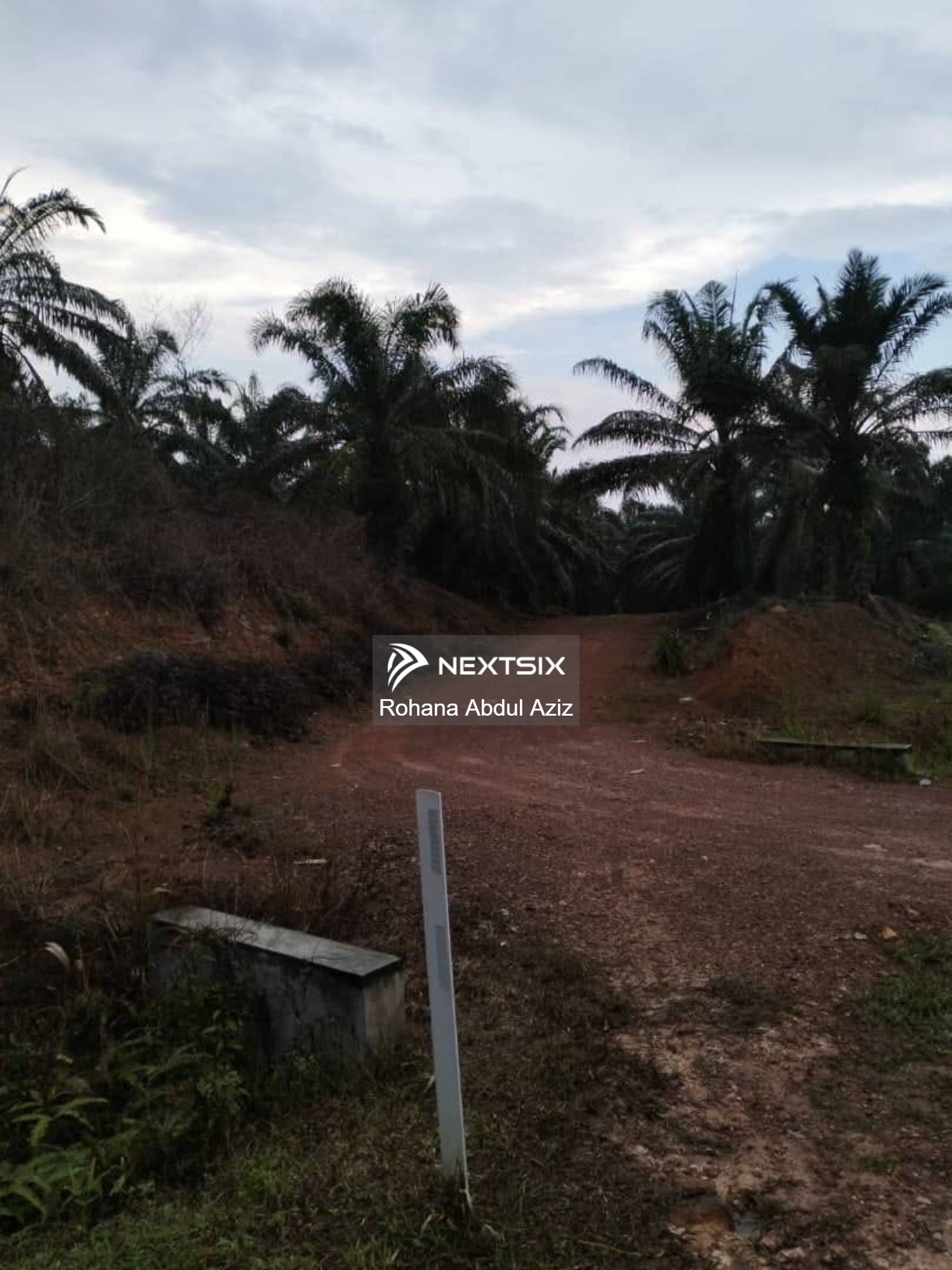 Agricultural Land For Sale in Jementah Johor - Image 6