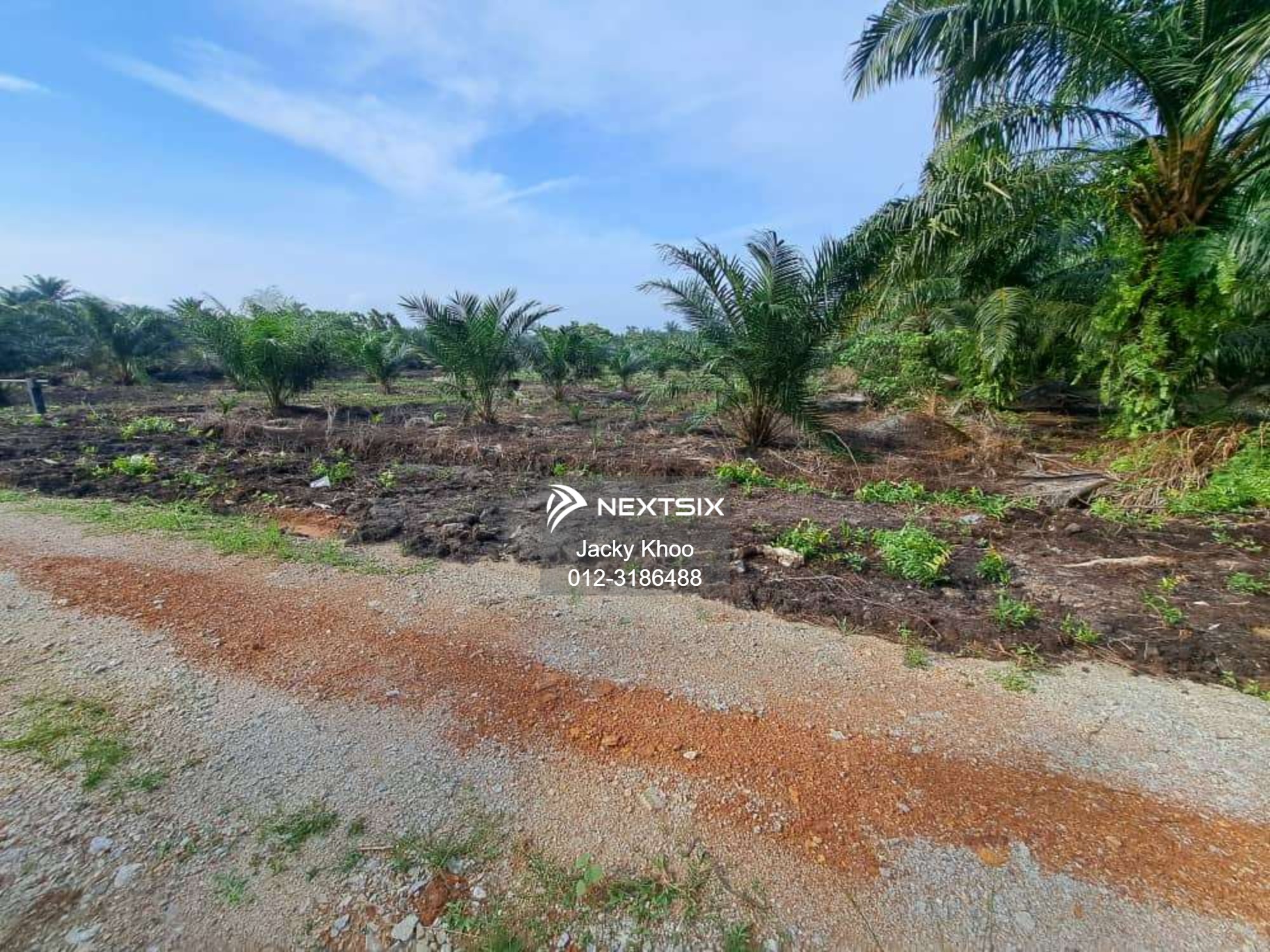 Agricultural Land For Sale in Tanjong Sepat Selangor - Image 10