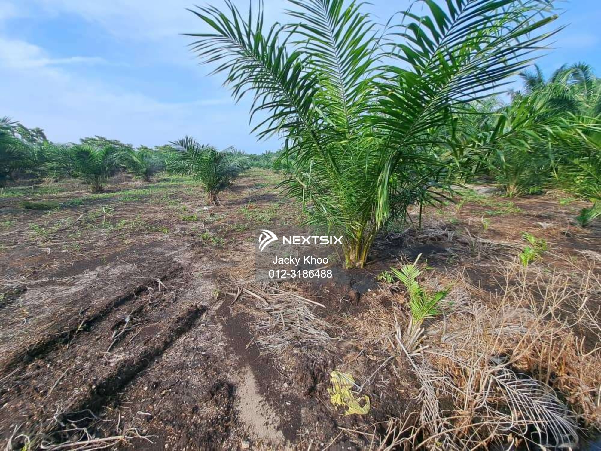 Agricultural Land For Sale in Tanjong Sepat Selangor - Image 11