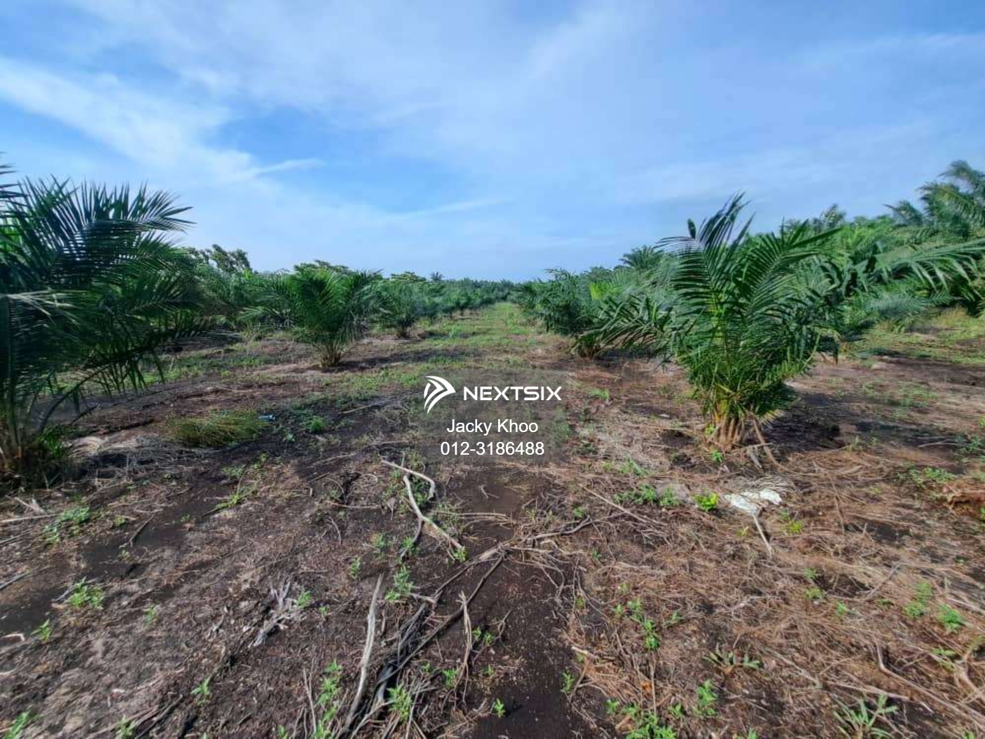 Agricultural Land For Sale in Tanjong Sepat Selangor - Image 4
