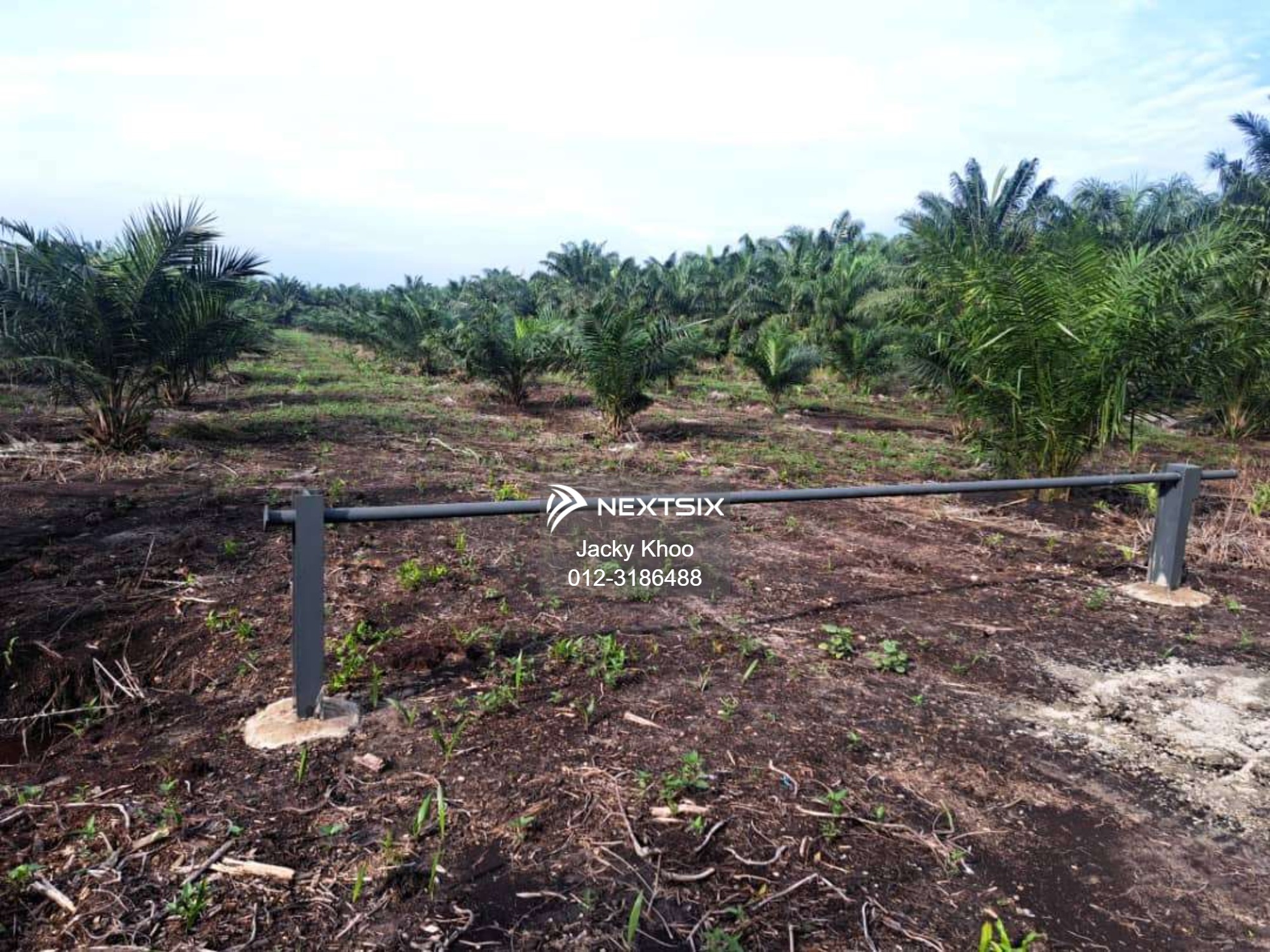 Agricultural Land For Sale in Tanjong Sepat Selangor