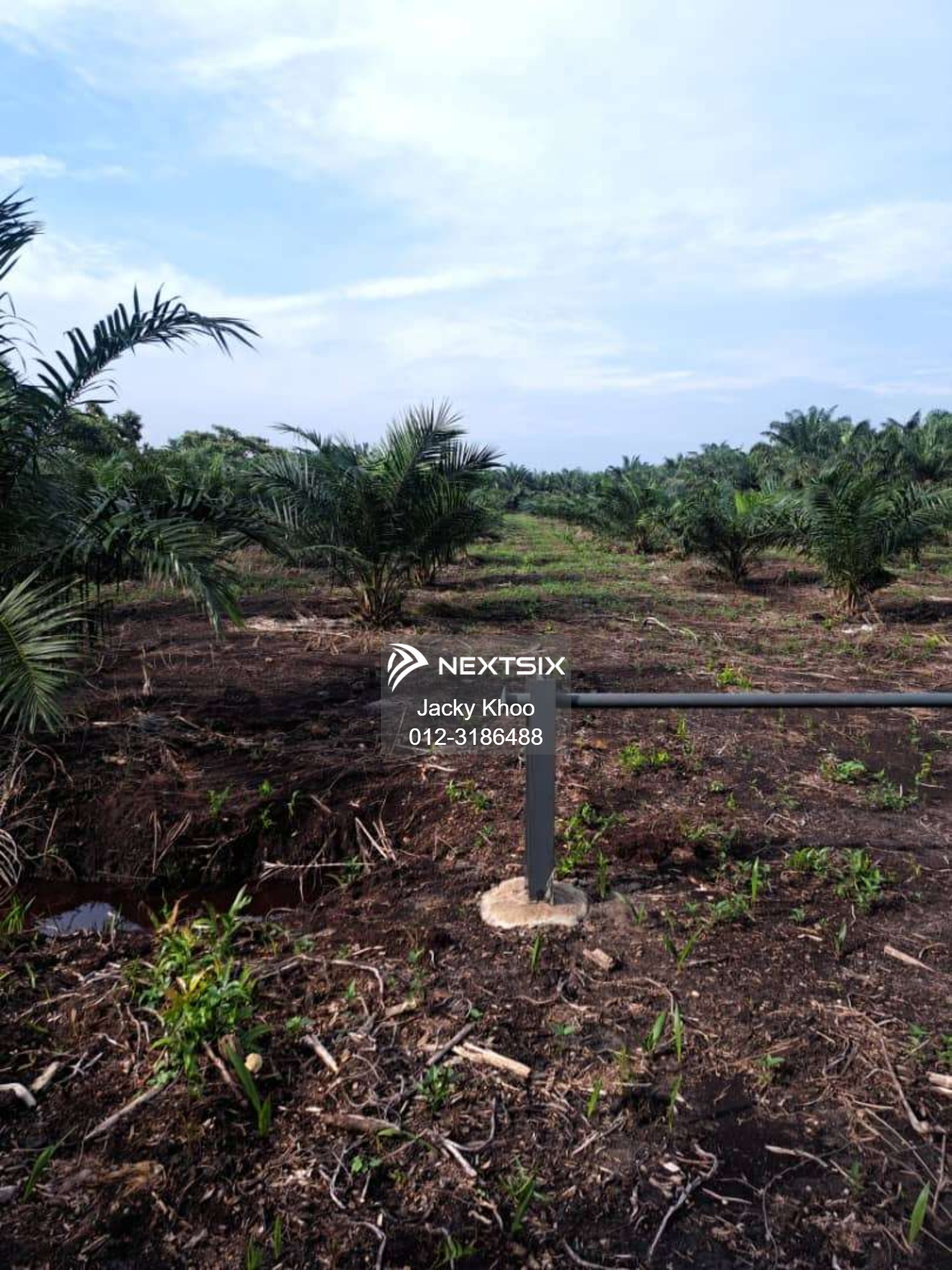 Agricultural Land For Sale in Tanjong Sepat Selangor - Image 9