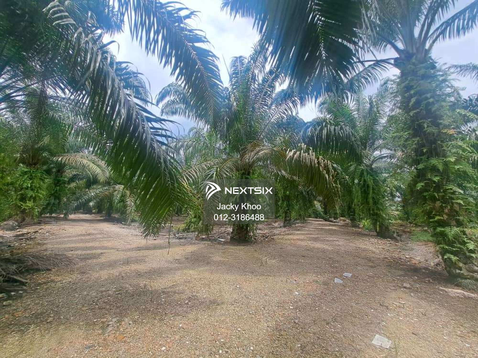 Residential Land For Sale in Klang Selangor - Image 5