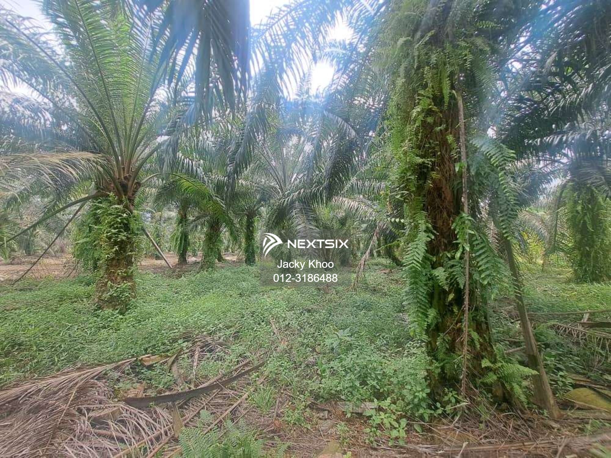 Residential Land For Sale in Klang Selangor - Image 6