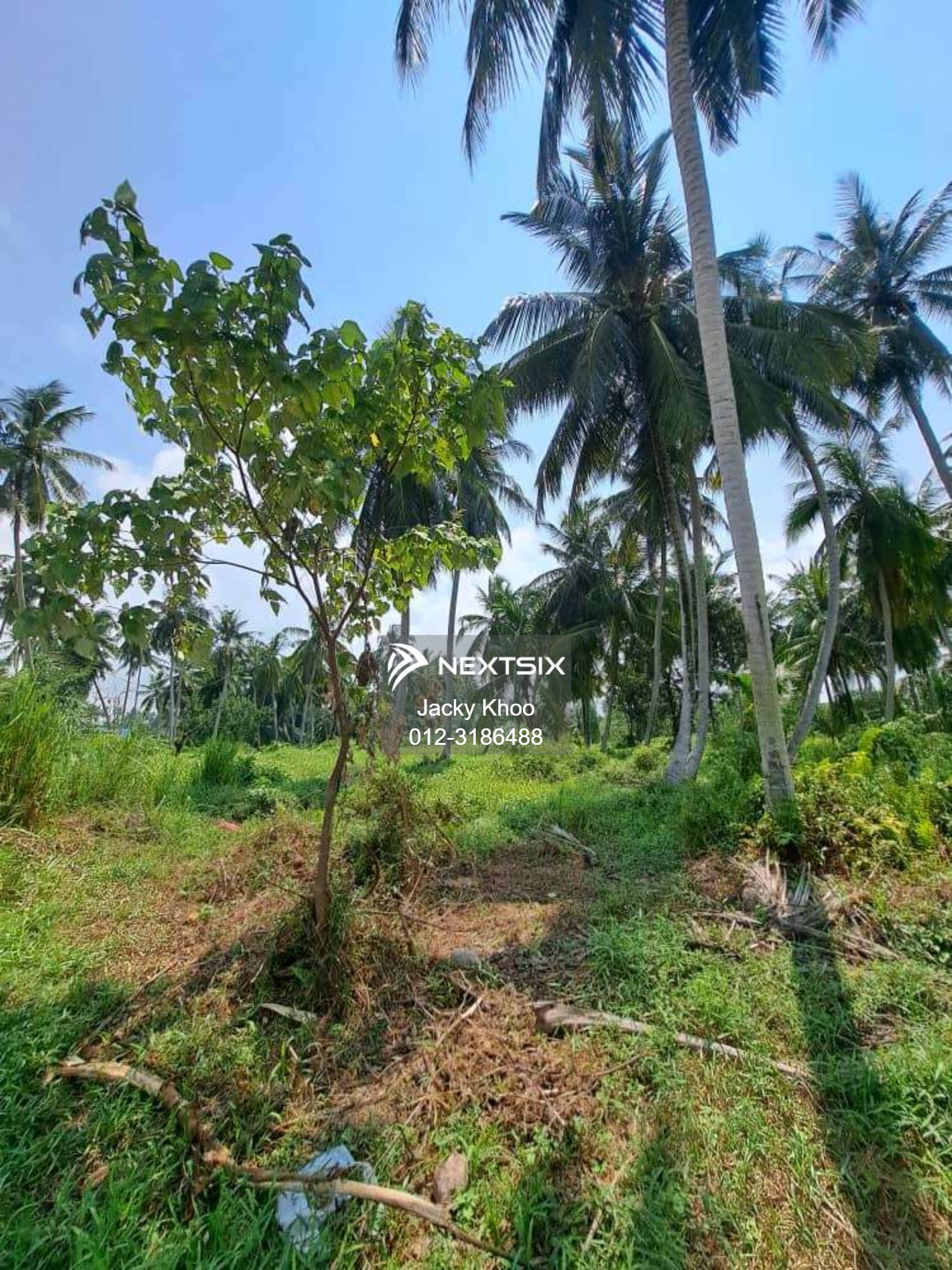 Agricultural Land For Sale in Kapar Selangor - Image 15