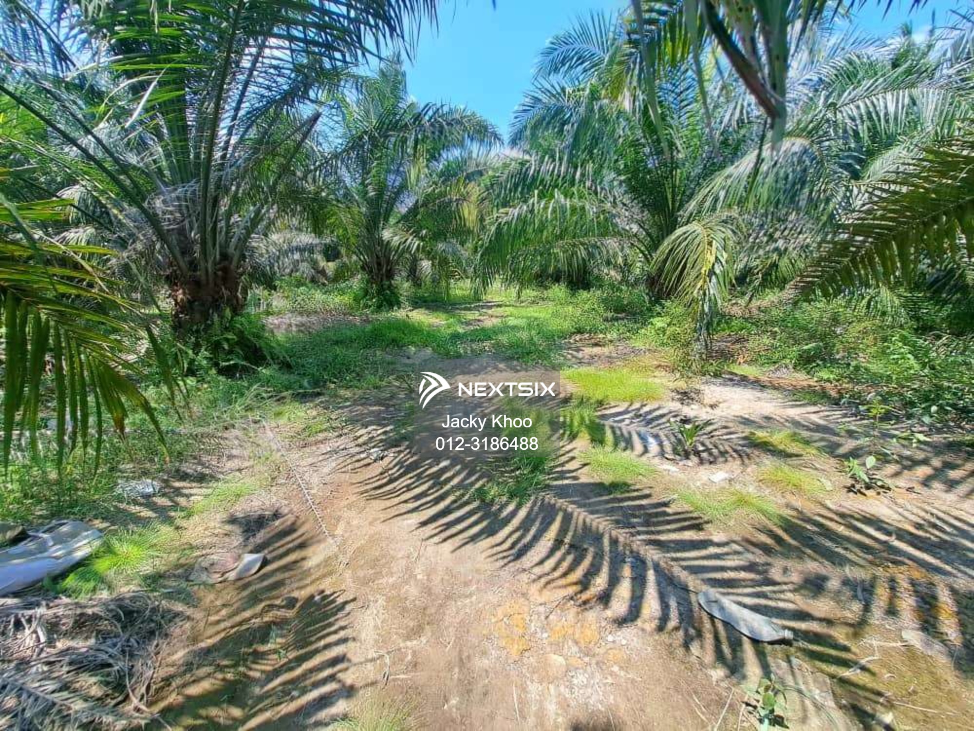 Agricultural Land For Sale in Banting Selangor - Image 10