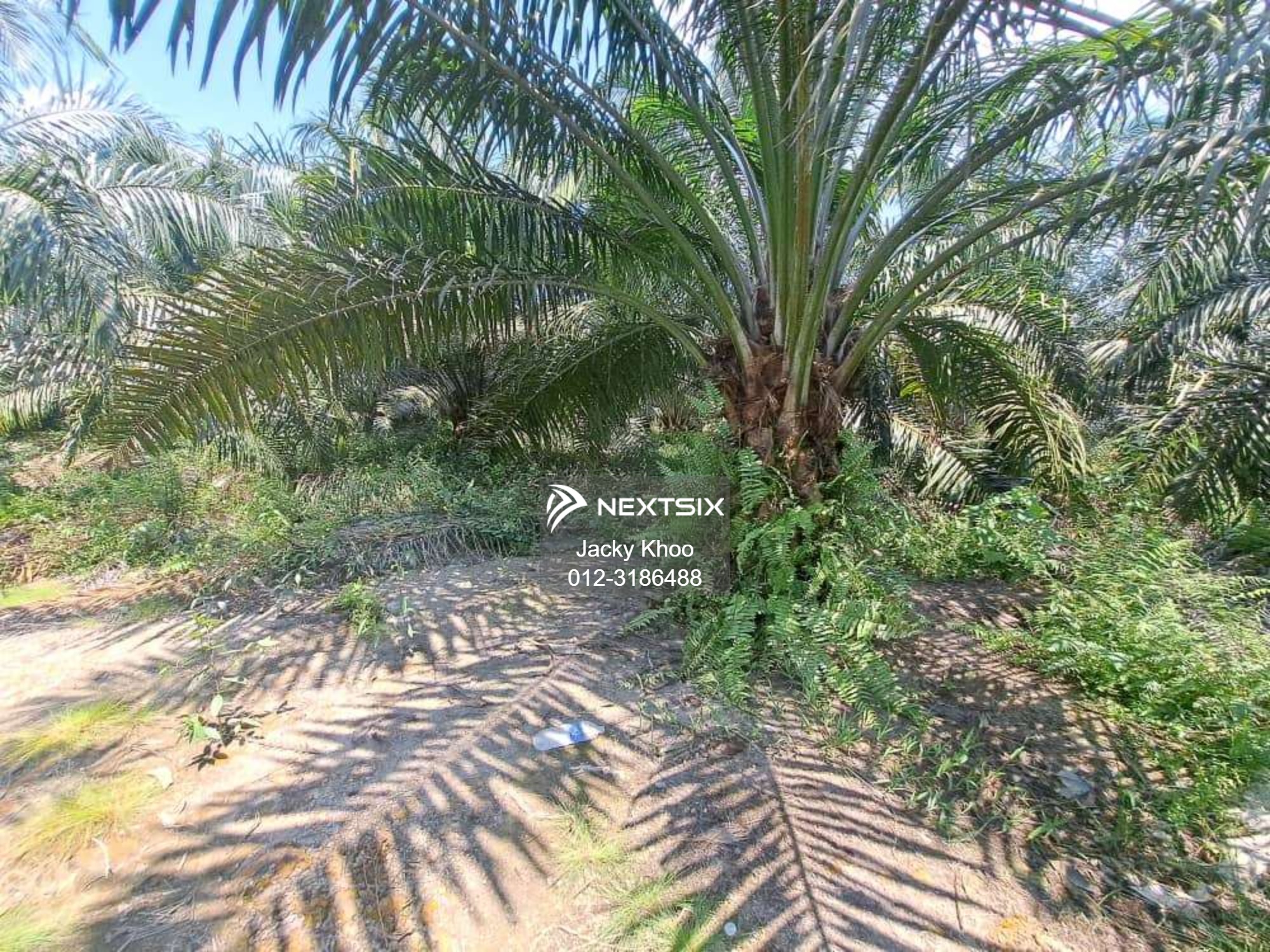 Agricultural Land For Sale in Banting Selangor - Image 13