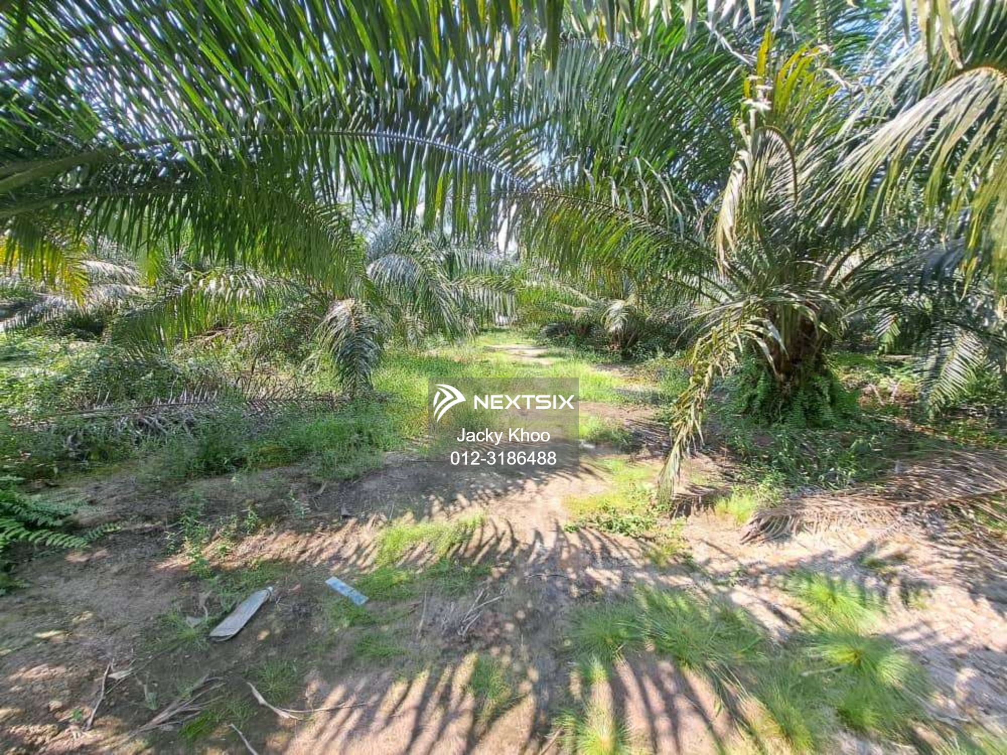 Agricultural Land For Sale in Banting Selangor - Image 14