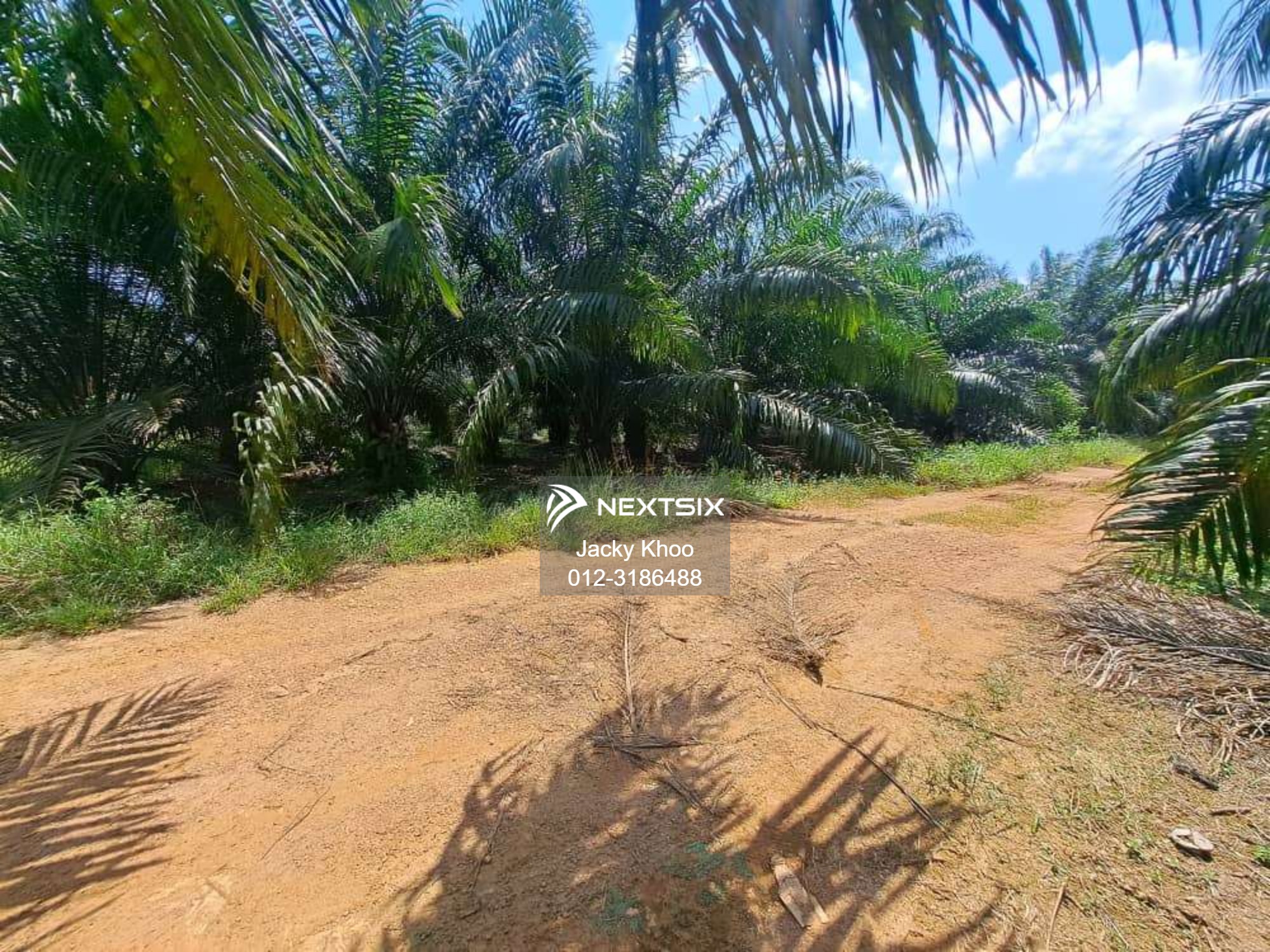 Agricultural Land For Sale in Banting Selangor - Image 16