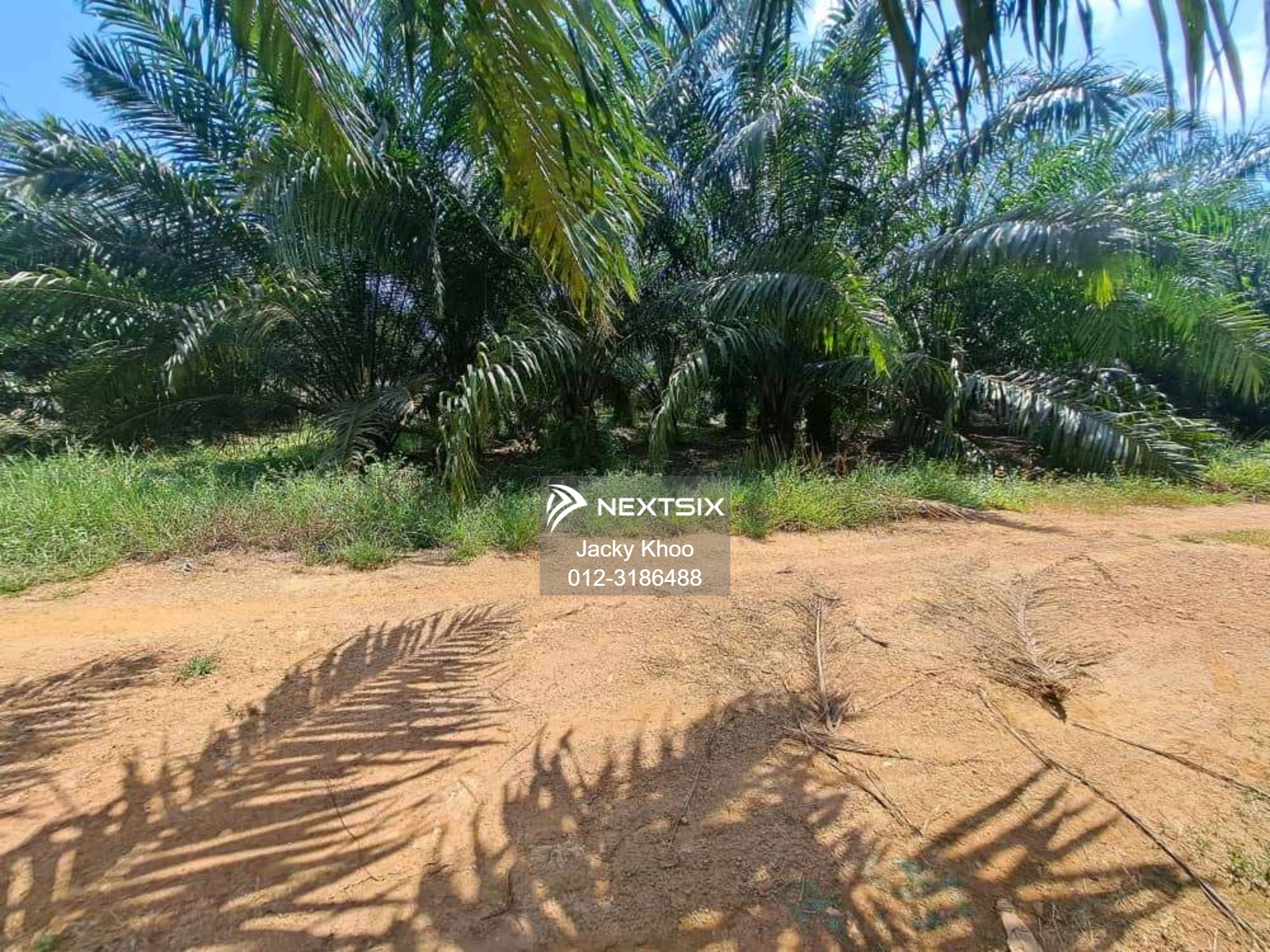 Agricultural Land For Sale in Banting Selangor - Image 17