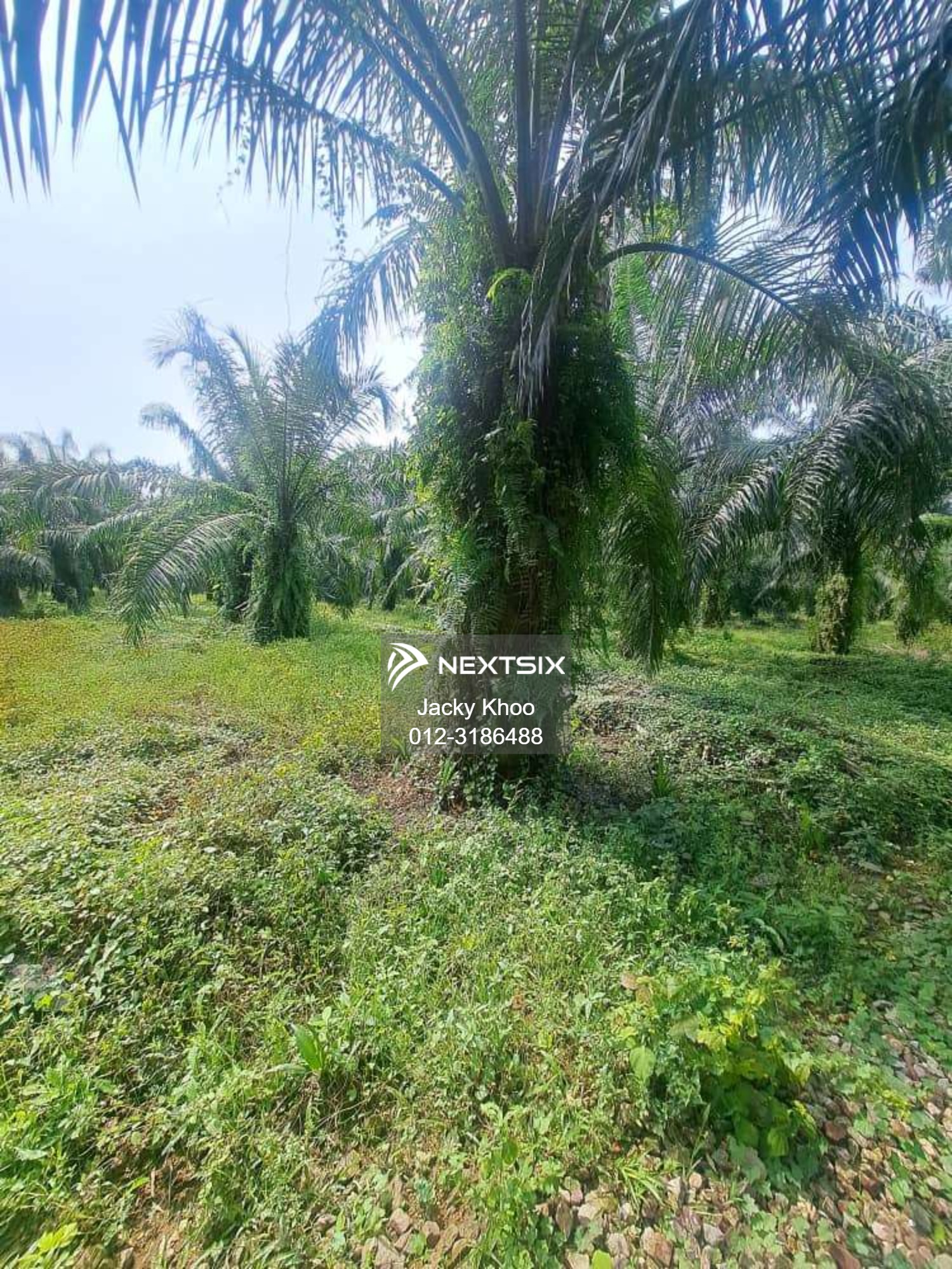 Agricultural Land For Sale in Kapar Selangor