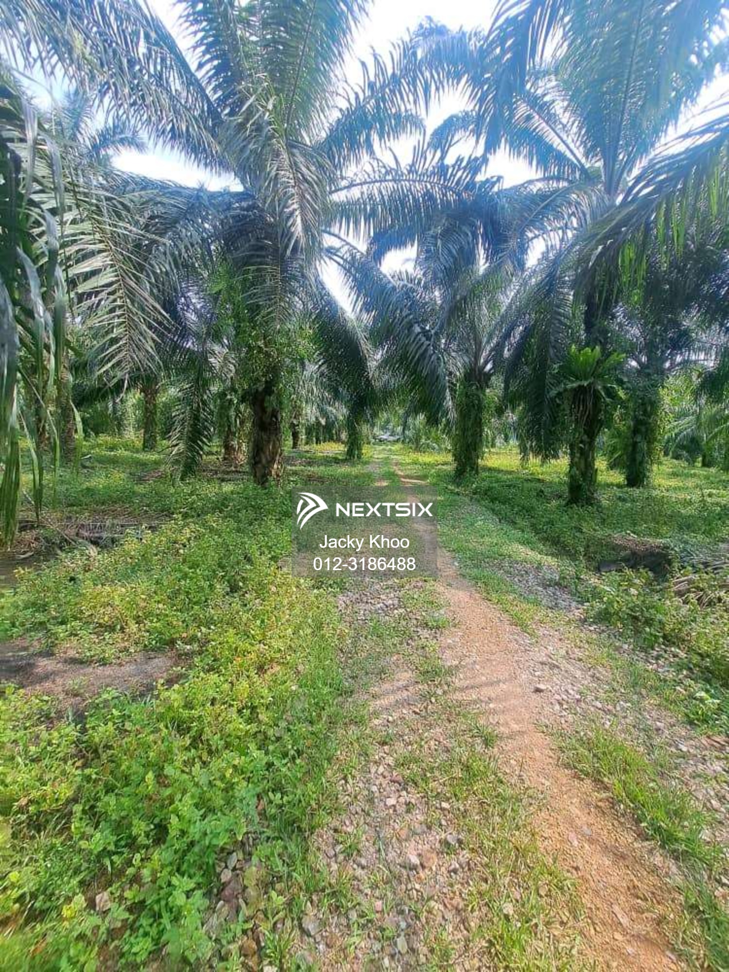 Agricultural Land For Sale in Kapar Selangor - Image 6