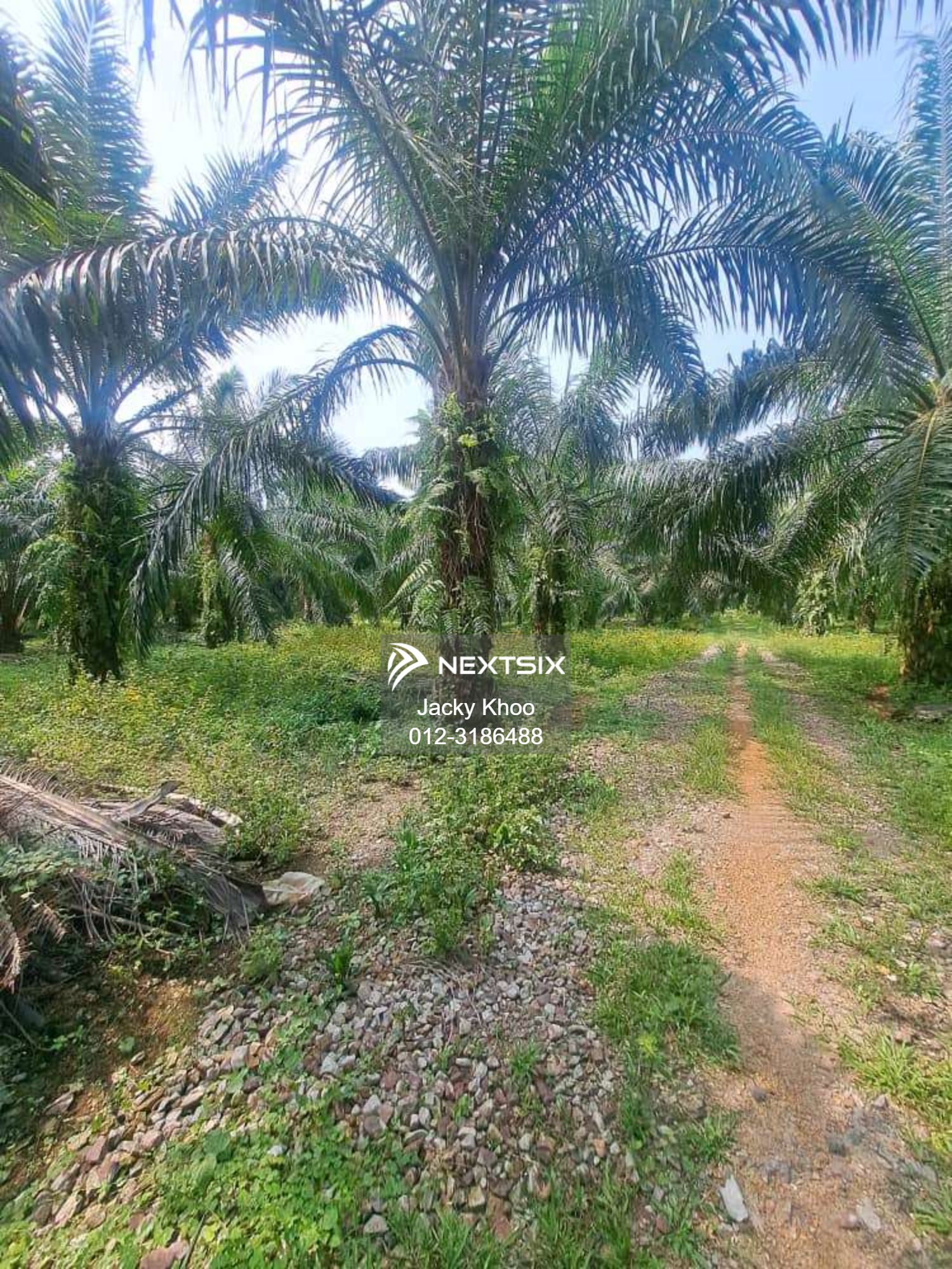 Agricultural Land For Sale in Kapar Selangor - Image 7