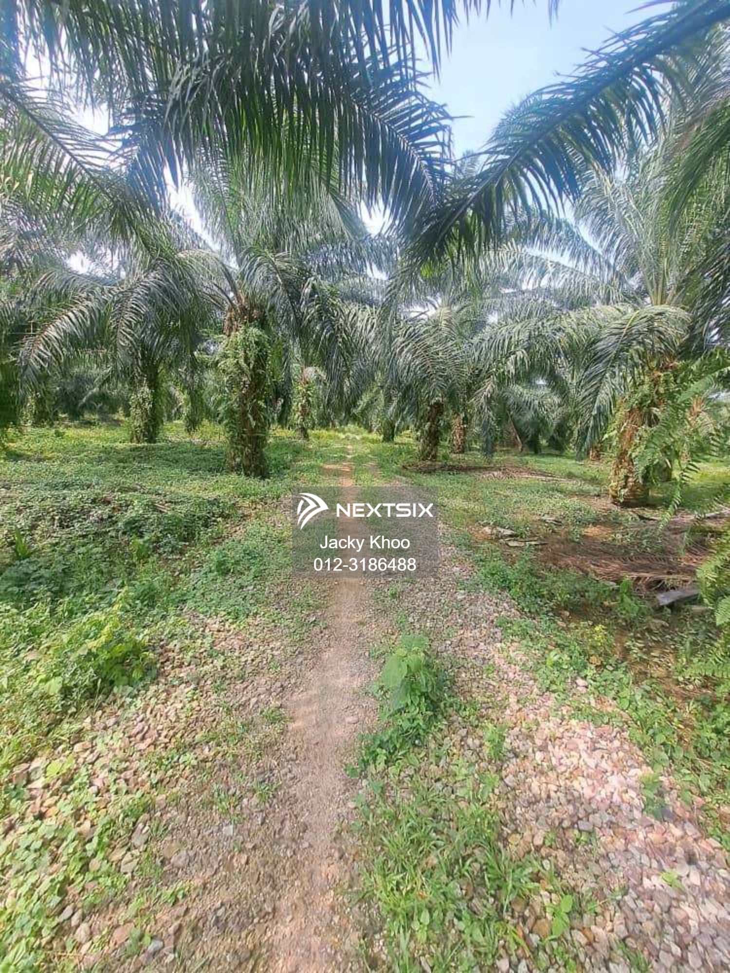 Agricultural Land For Sale in Kapar Selangor - Image 8