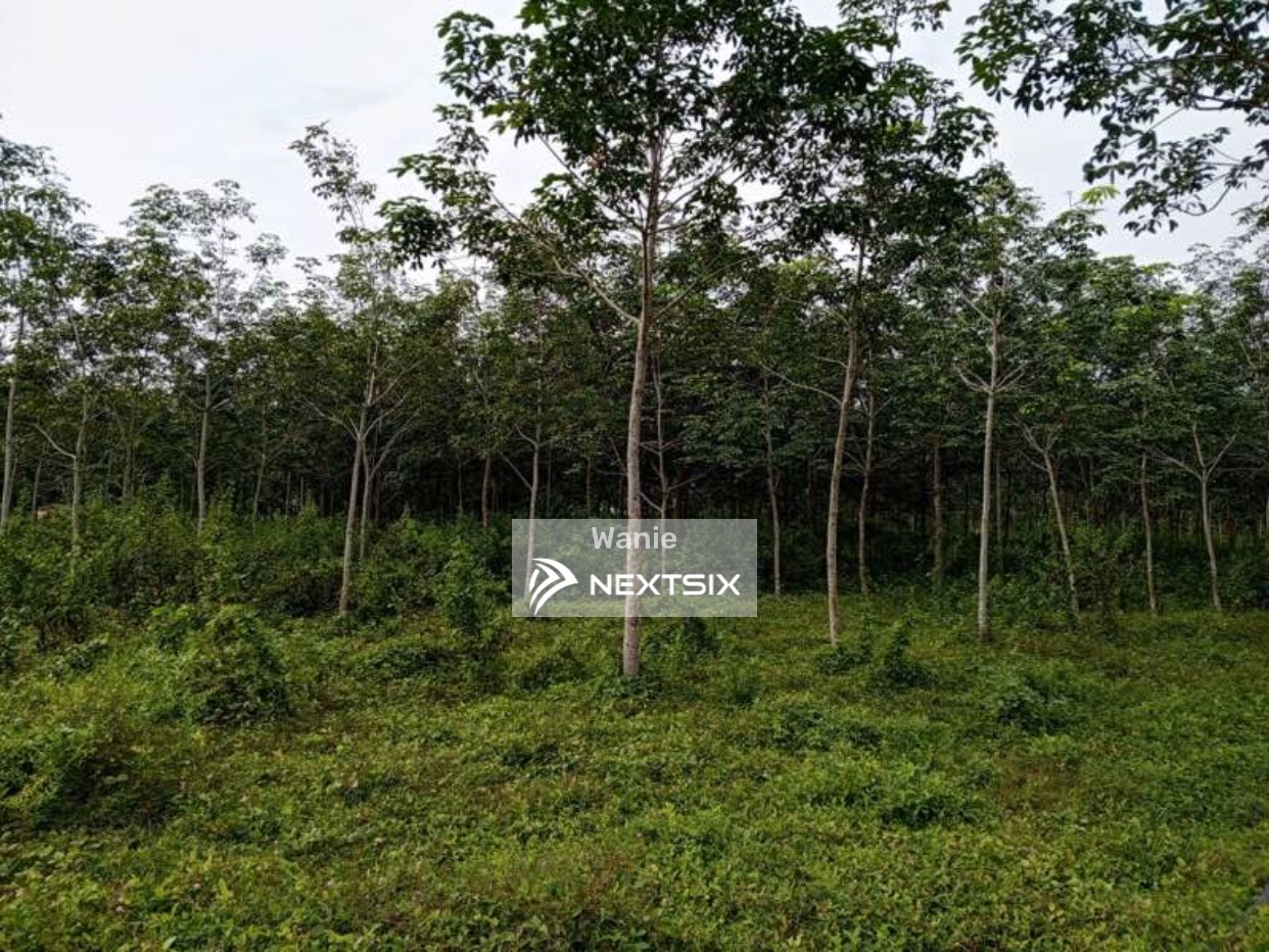 Agricultural Land For Sale in Arau Perlis - Image 10