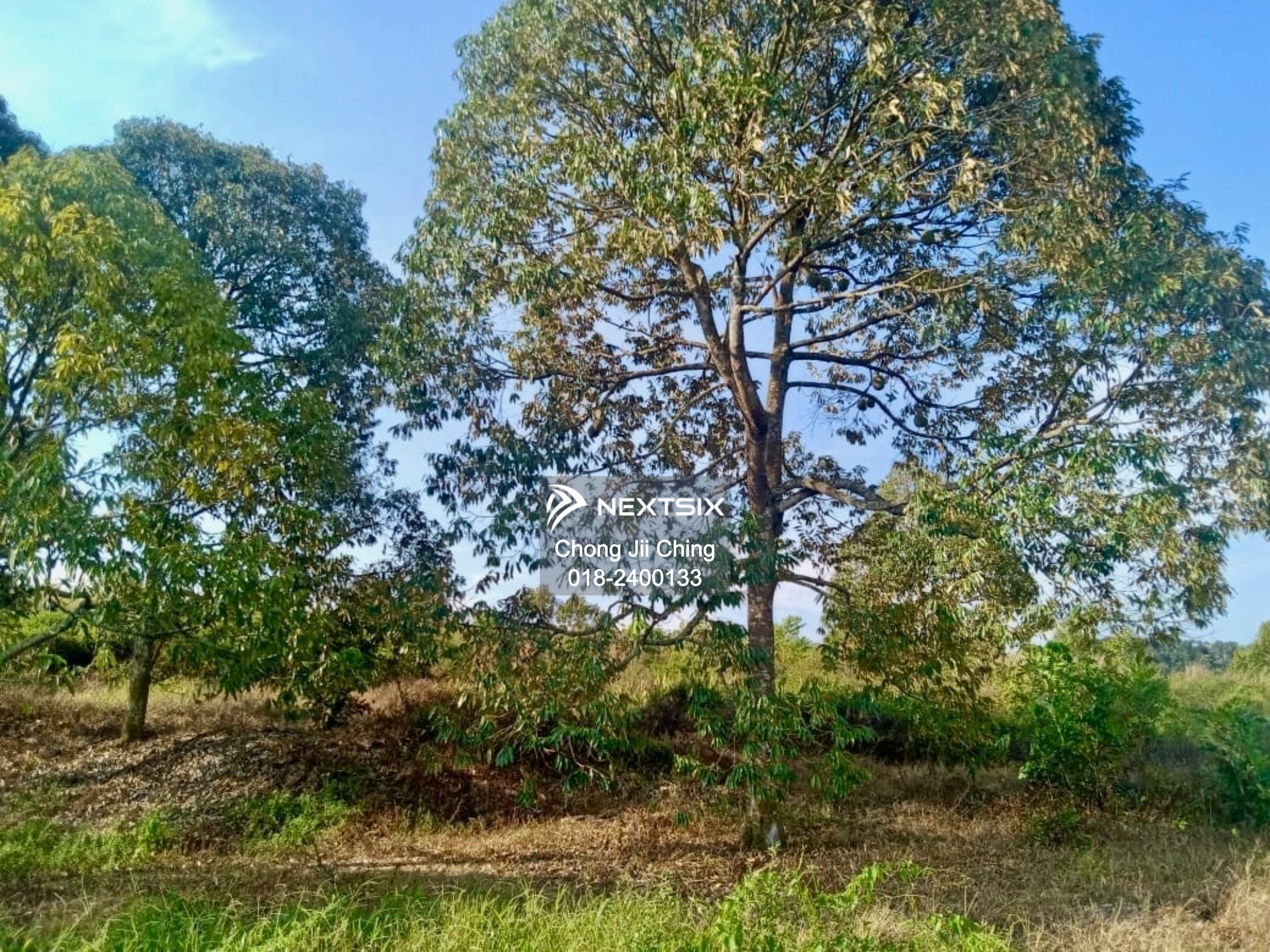 Industrial Land For Sale in Simpang Pertang Negeri Sembilan - Image 2