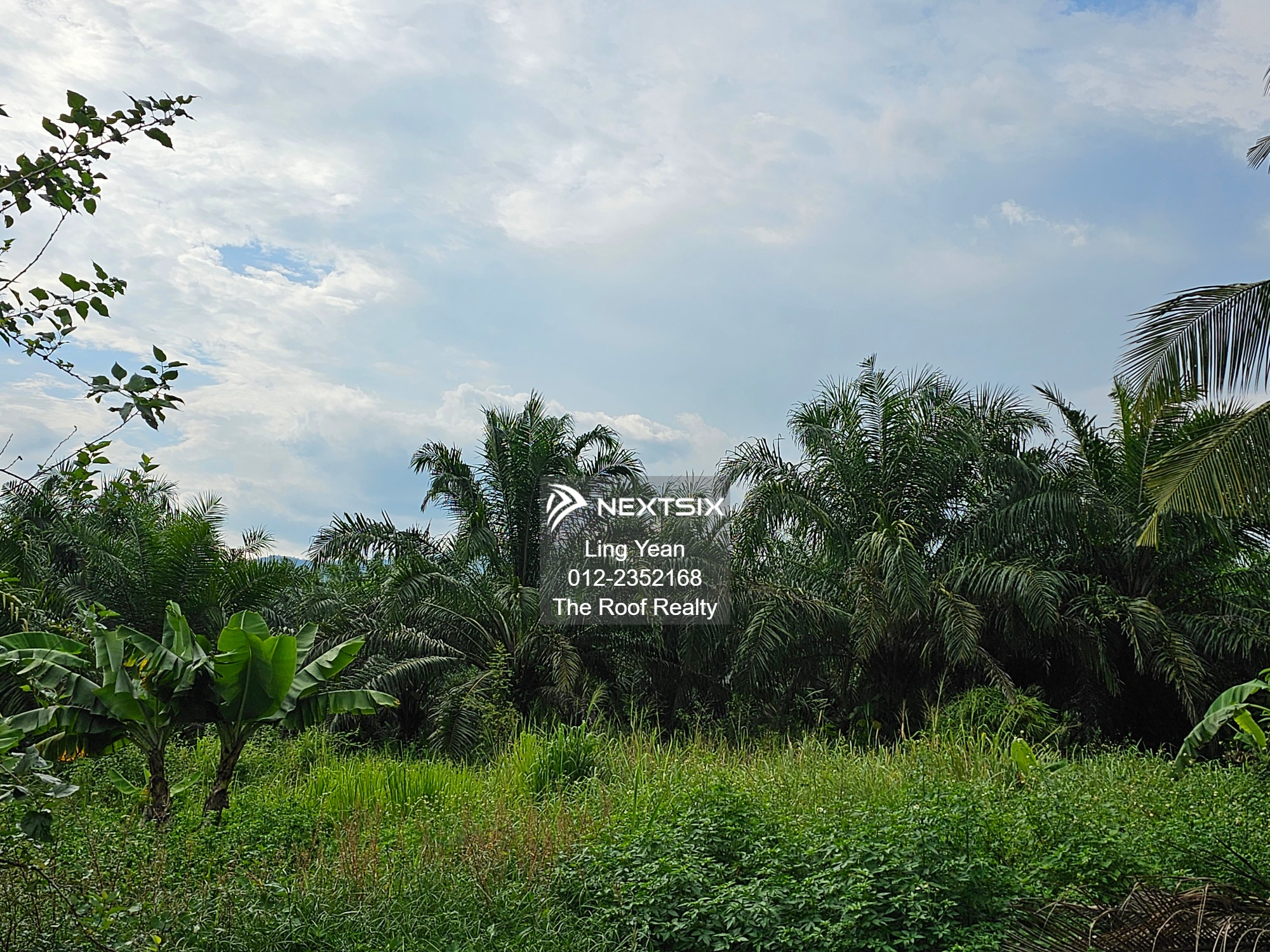 Agricultural Land For Sale in Ipoh Perak - Image 10