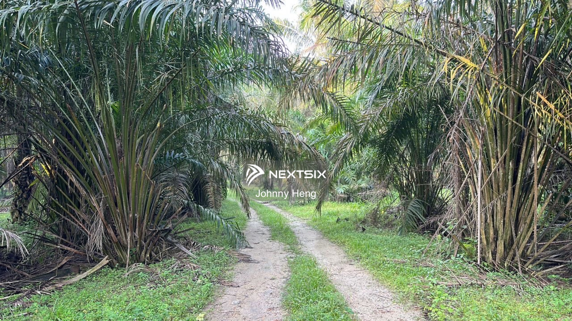 Agricultural Land For Sale in Kulai Johor