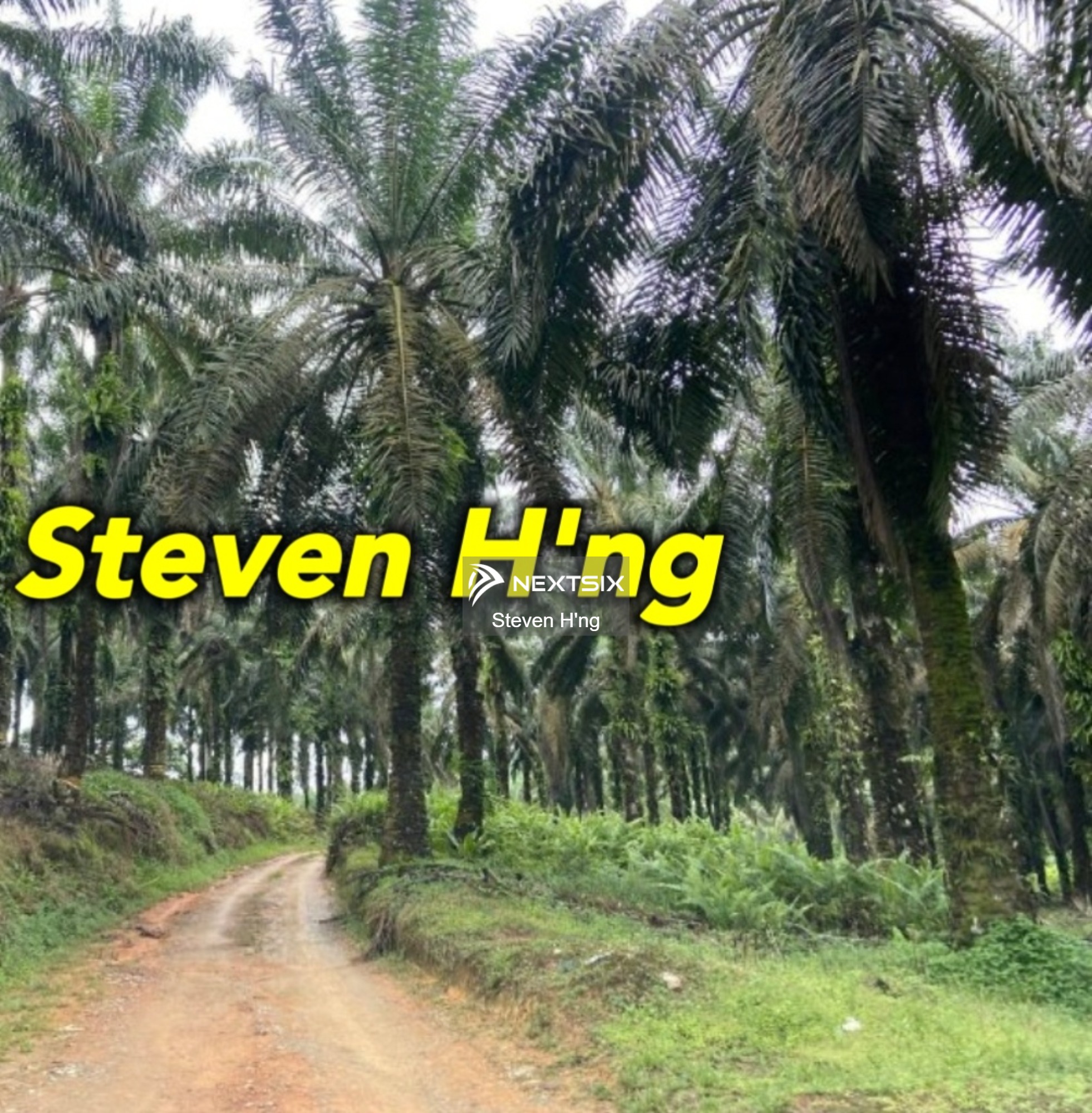 Commercial Land For Sale in Gurun Kedah