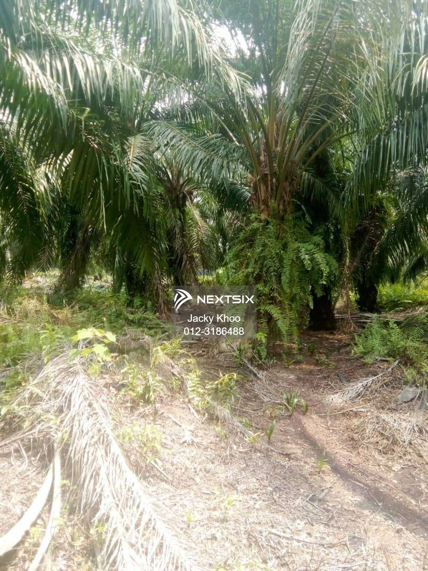 Agricultural Land For Sale in Jenjarom Selangor