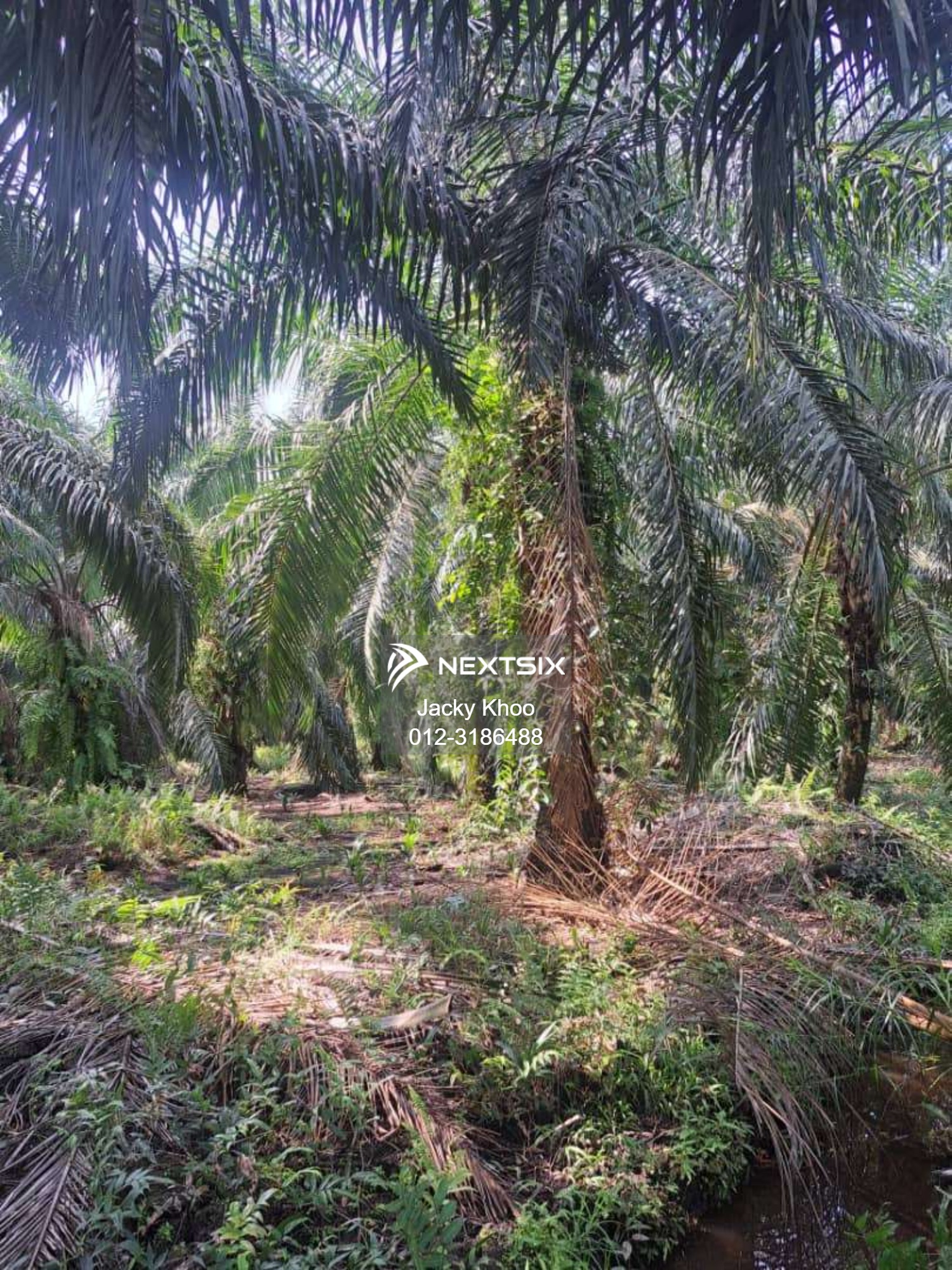 Agricultural Land For Sale in Jenjarom Selangor - Image 10