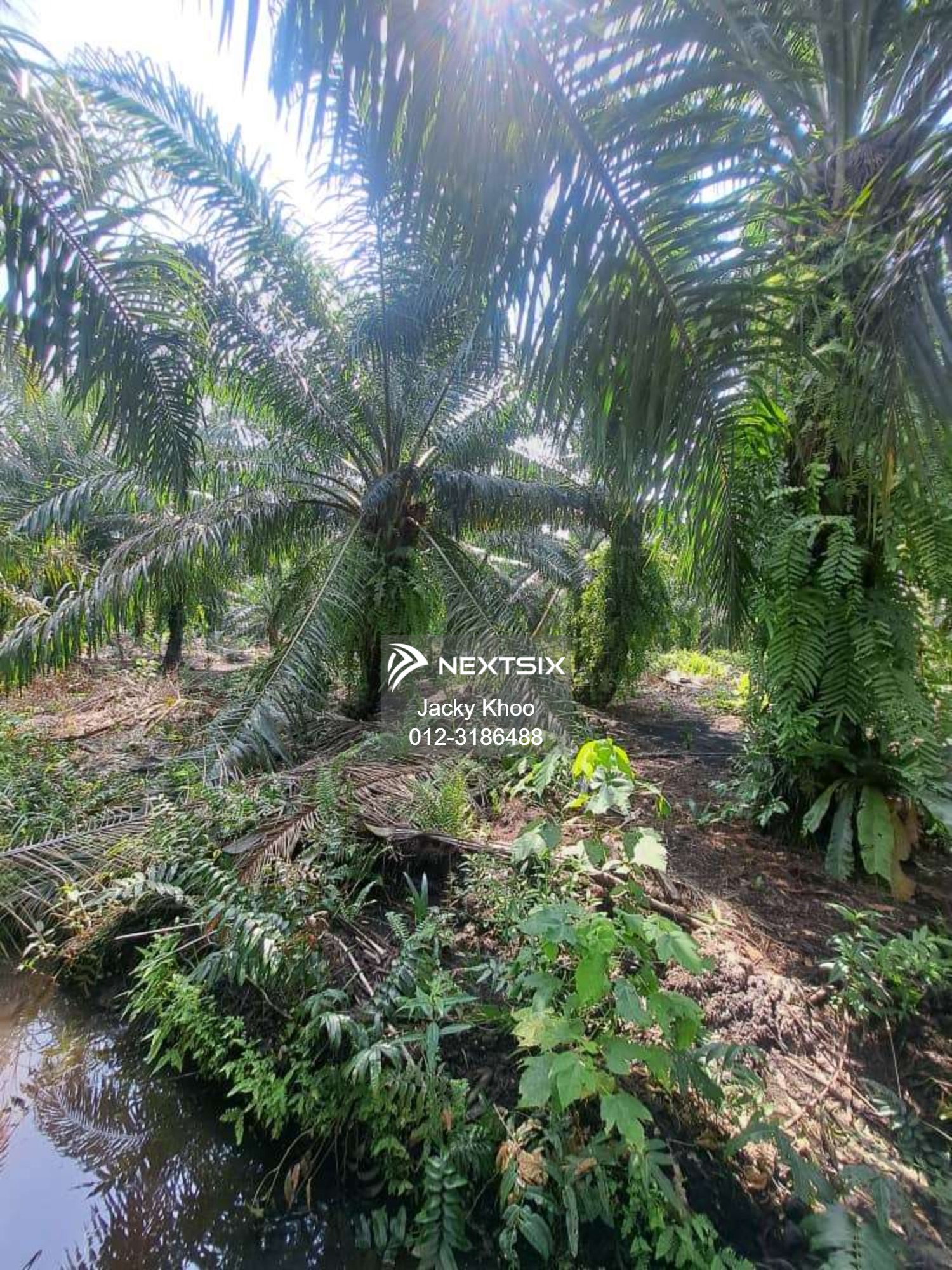 Agricultural Land For Sale in Jenjarom Selangor - Image 2