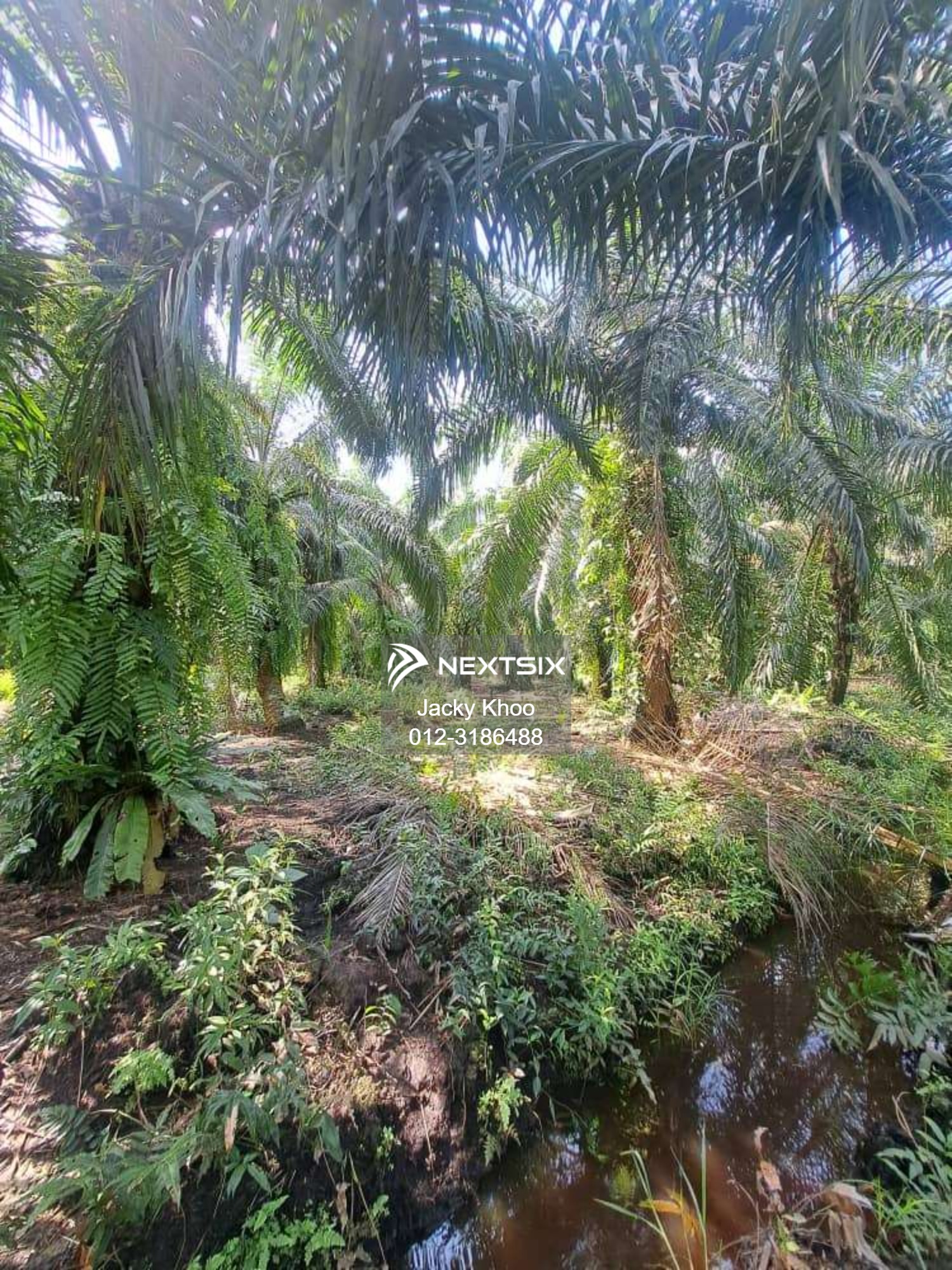 Agricultural Land For Sale in Jenjarom Selangor - Image 4