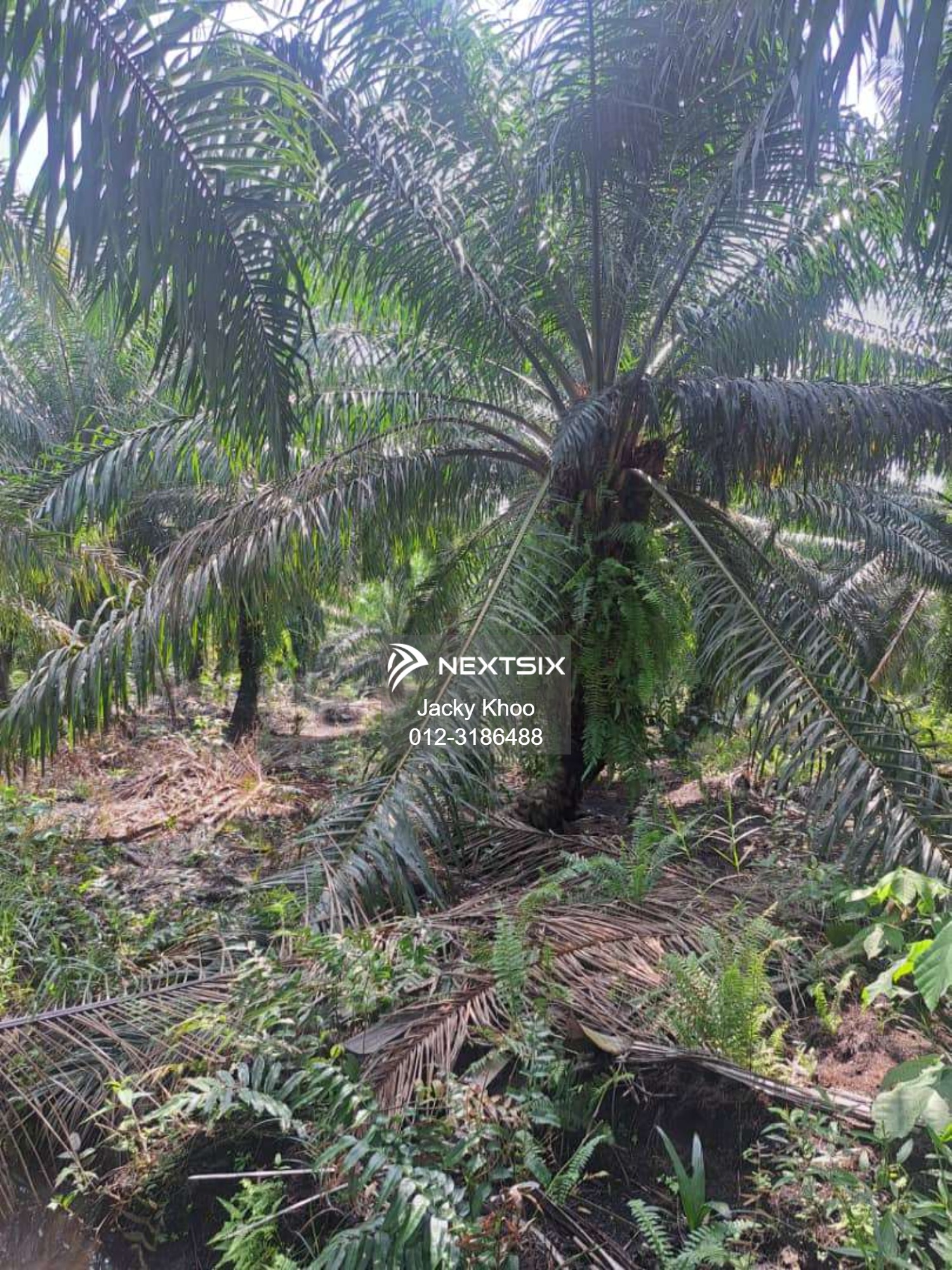 Agricultural Land For Sale in Jenjarom Selangor - Image 5