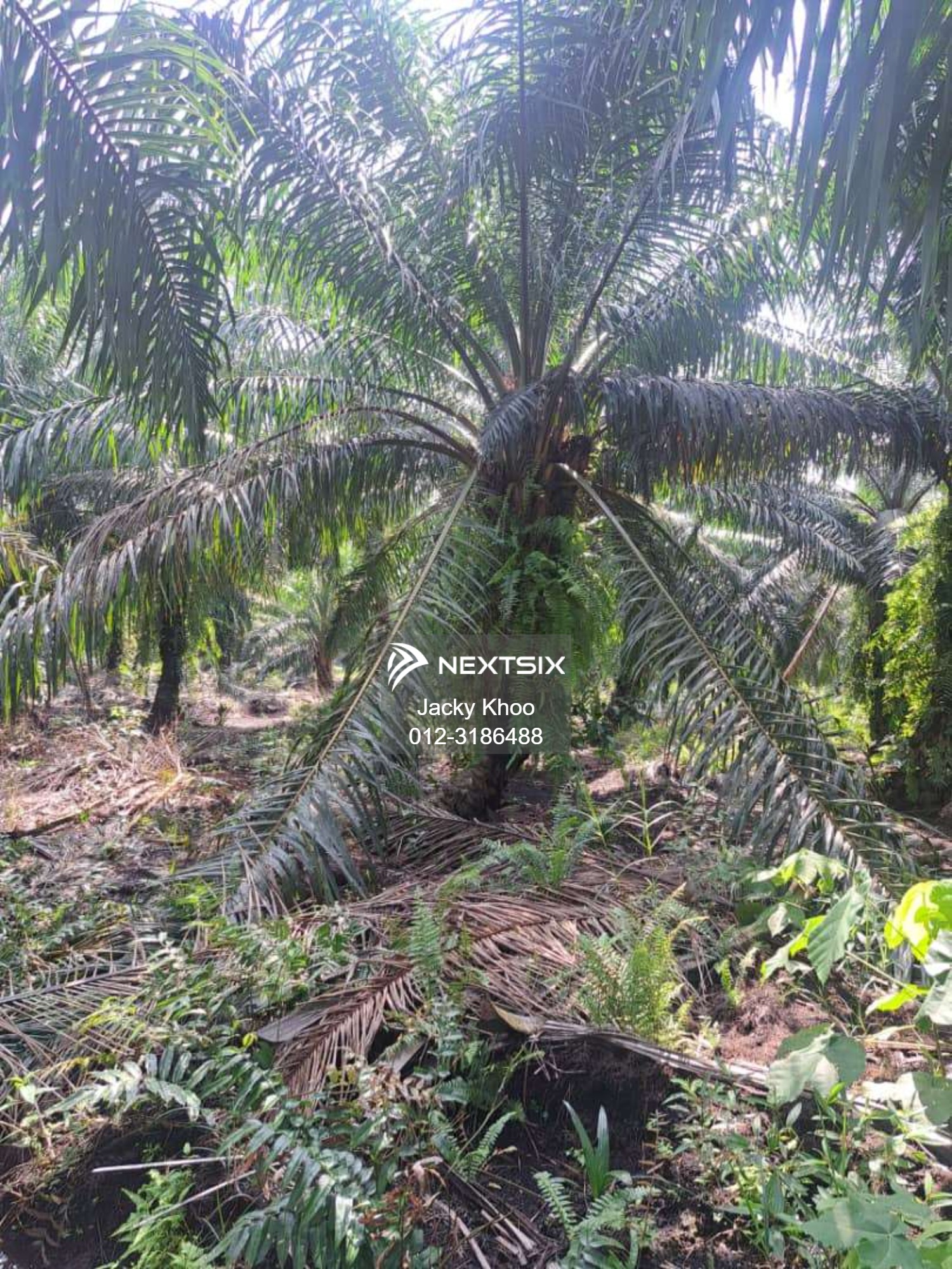 Agricultural Land For Sale in Jenjarom Selangor - Image 6