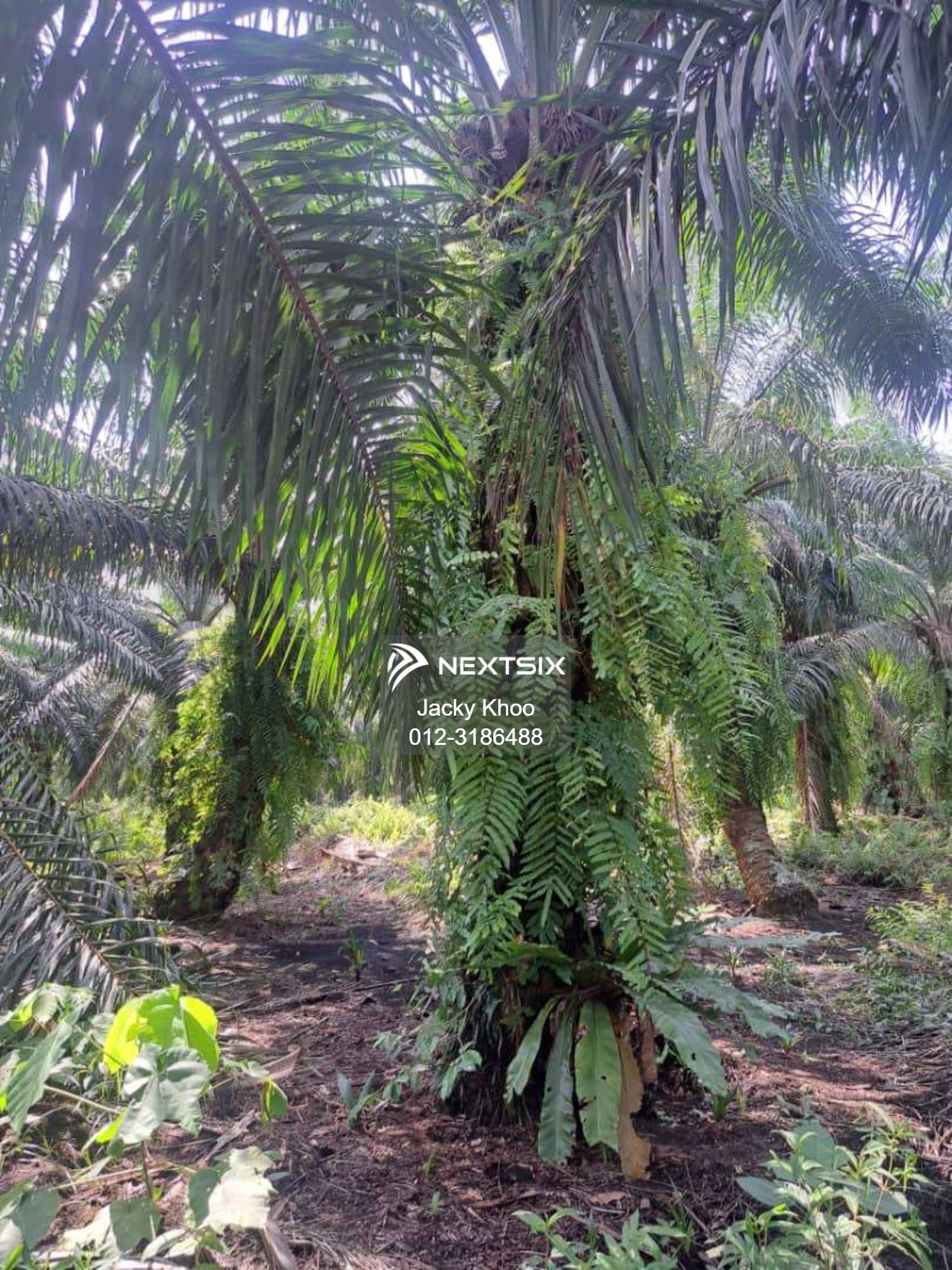 Agricultural Land For Sale in Jenjarom Selangor - Image 8