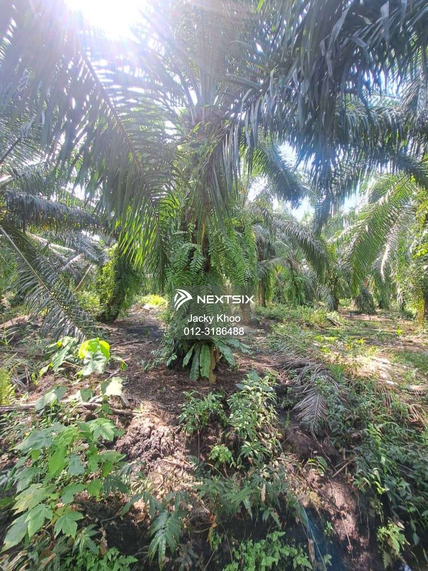 Agricultural Land For Sale in Jenjarom Selangor - Image 9