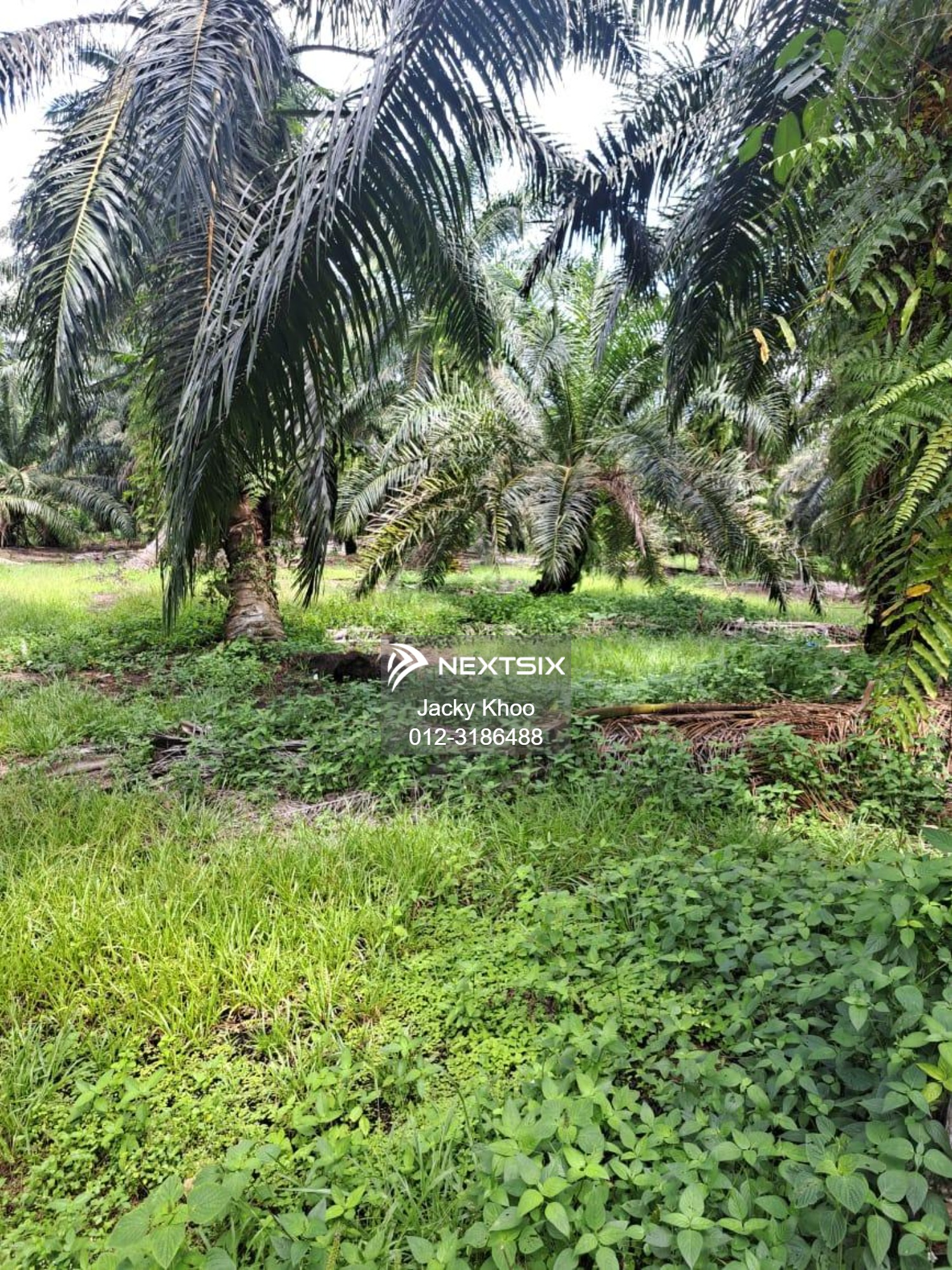 Agricultural Land For Sale in Jenjarom Selangor - Image 5