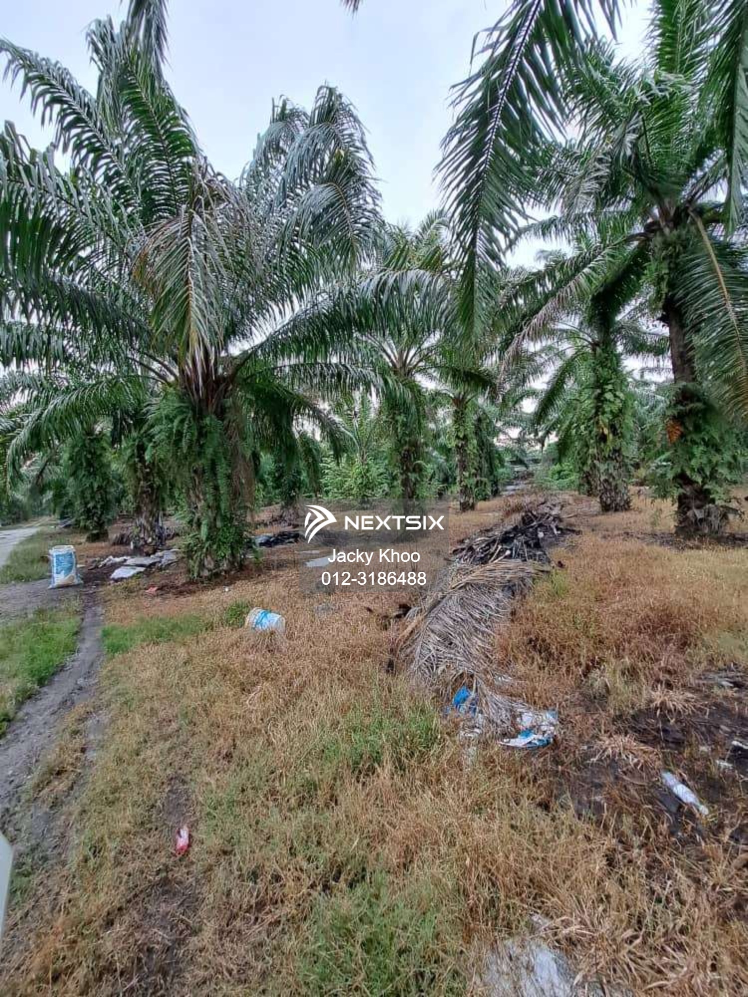 Agricultural Land For Sale in Banting Selangor - Image 11