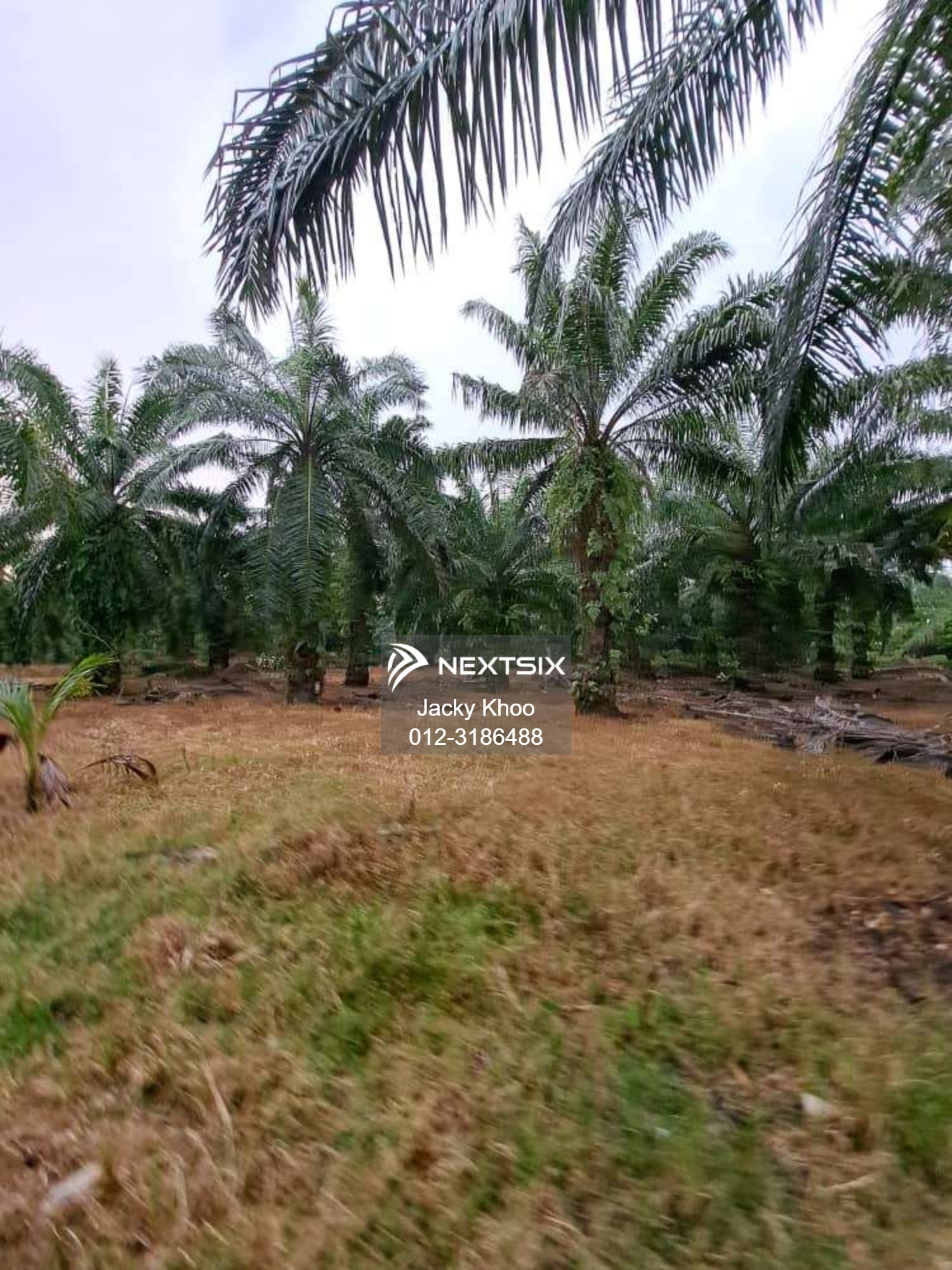 Agricultural Land For Sale in Banting Selangor - Image 12