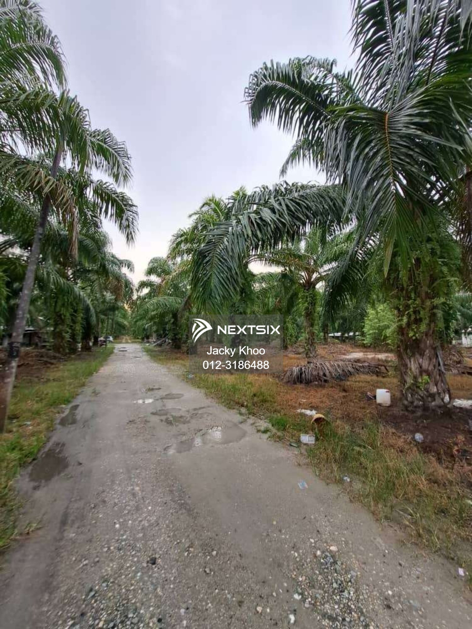 Agricultural Land For Sale in Banting Selangor - Image 4
