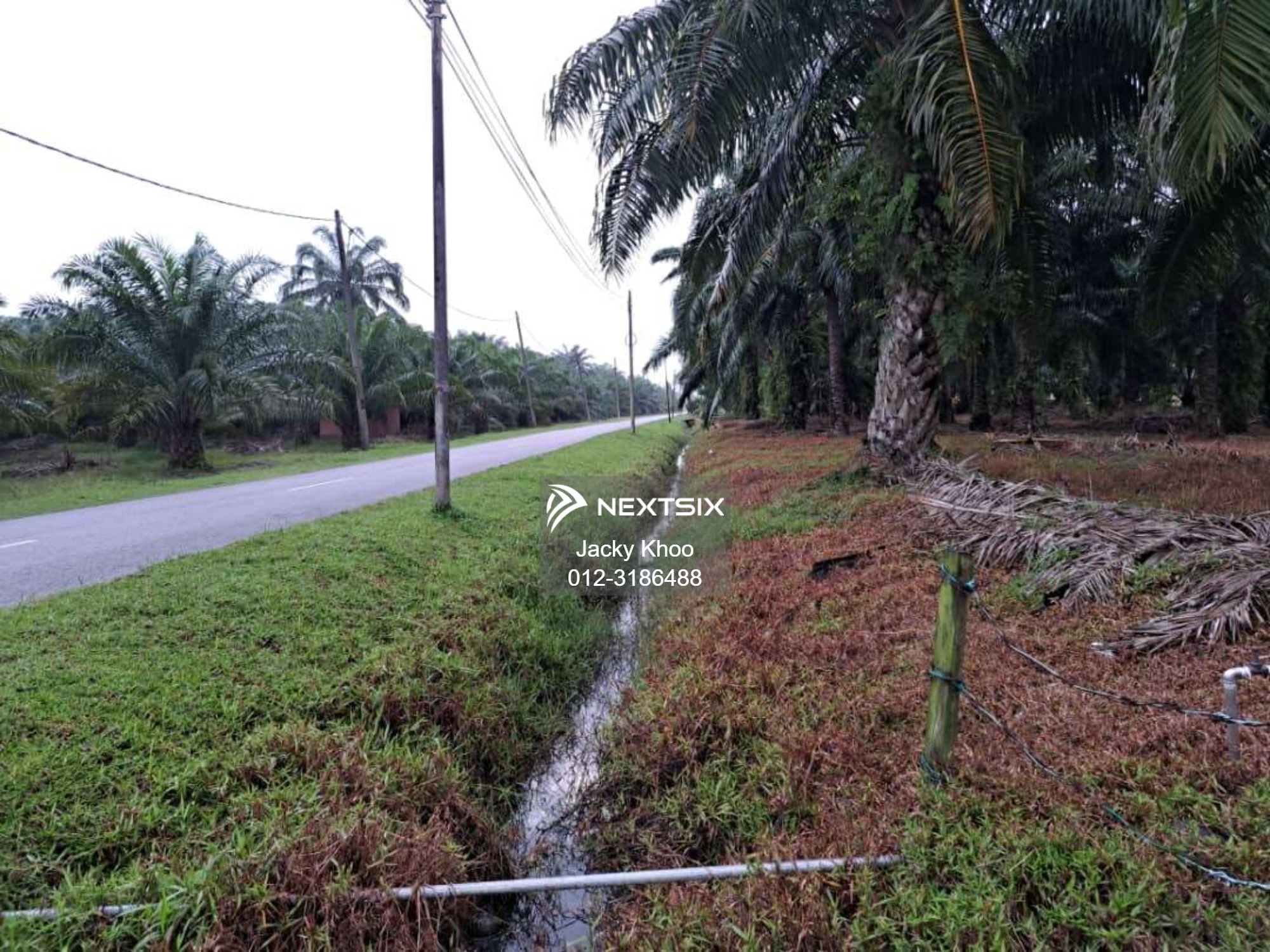 Agricultural Land For Sale in Banting Selangor - Image 6