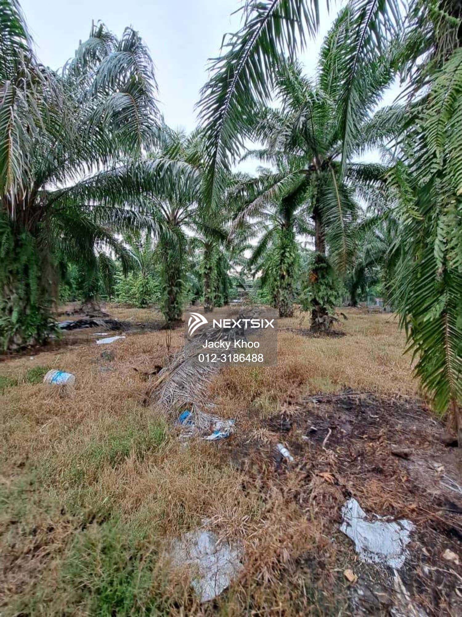 Agricultural Land For Sale in Banting Selangor - Image 9