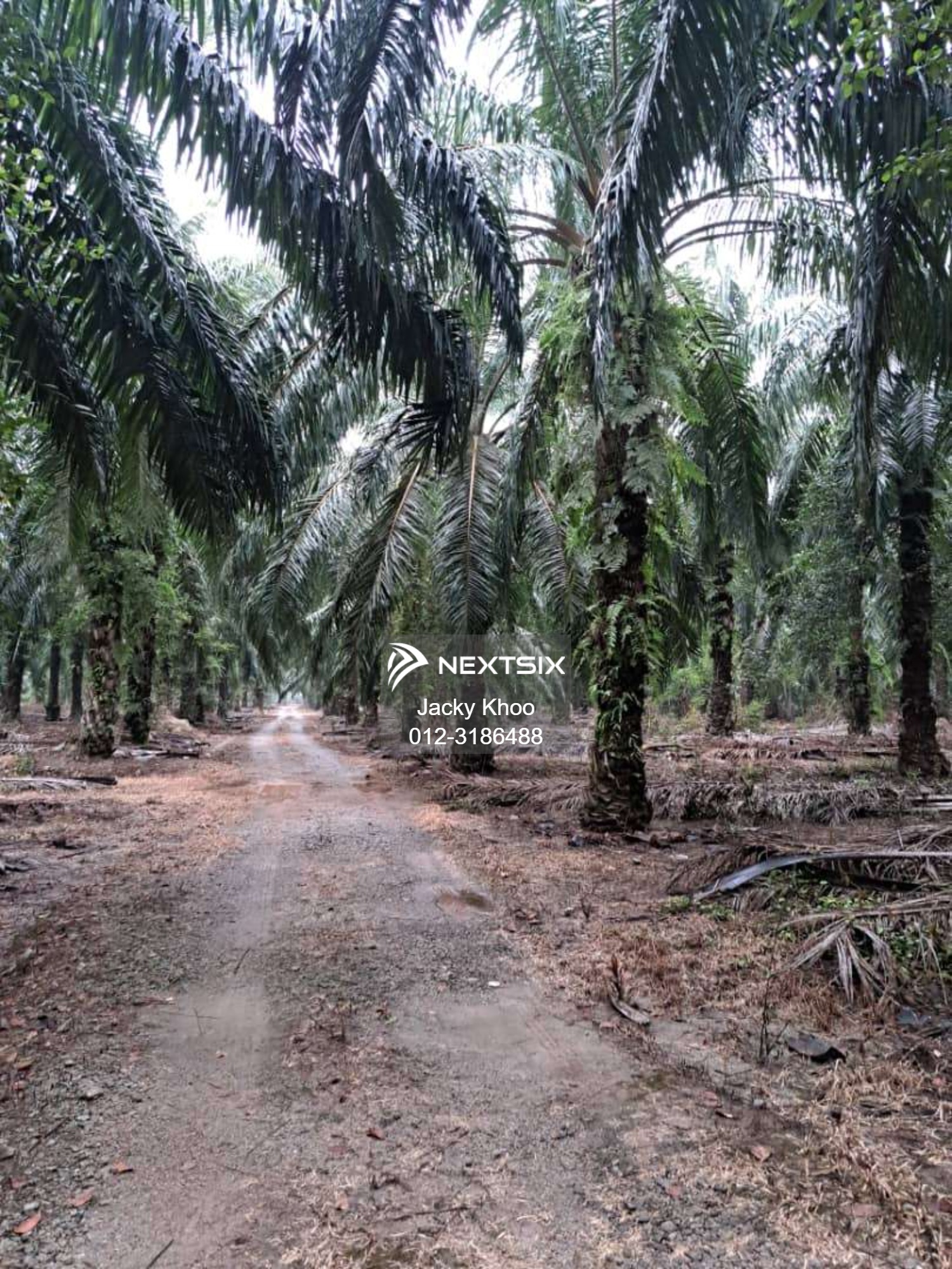Agricultural Land For Sale in Banting Selangor