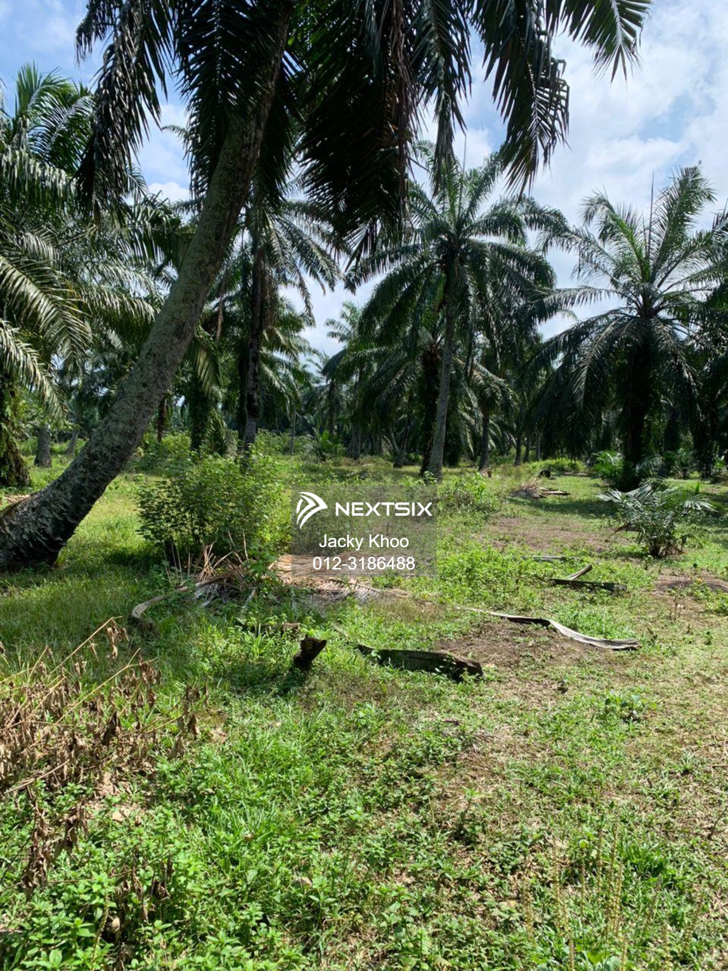 Agricultural Land For Sale in Tanjong Sepat Selangor