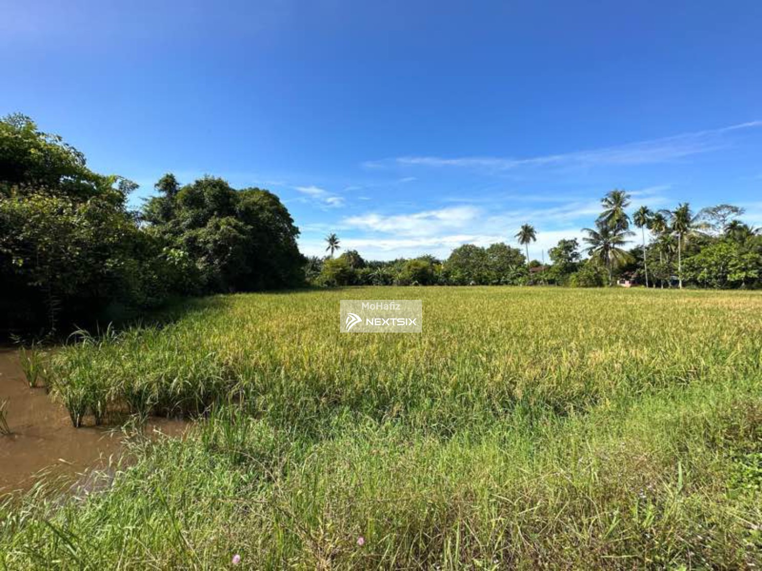 Agricultural Land For Sale in Bertam Penang - Image 3