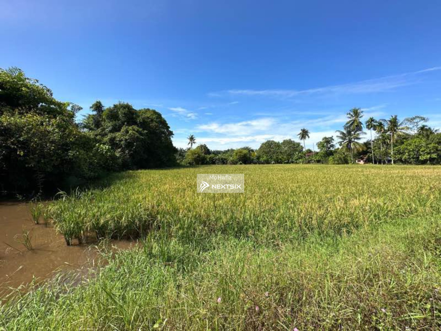 Agricultural Land For Sale in Bertam Penang - Image 7