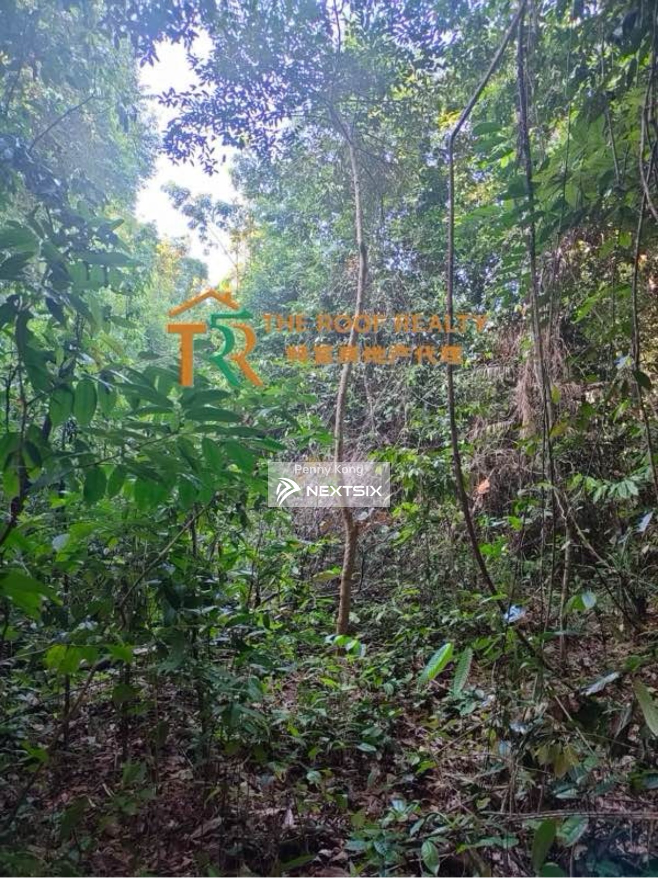 Agricultural Land For Sale in Miri Sarawak - Image 3