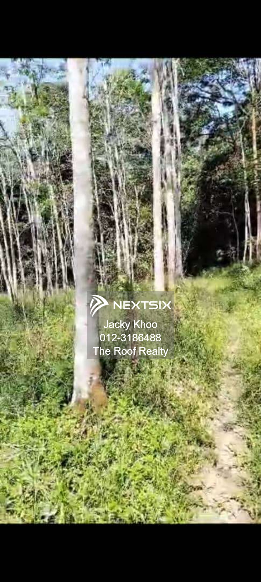 Agricultural Land For Sale in Slim River Perak - Image 3