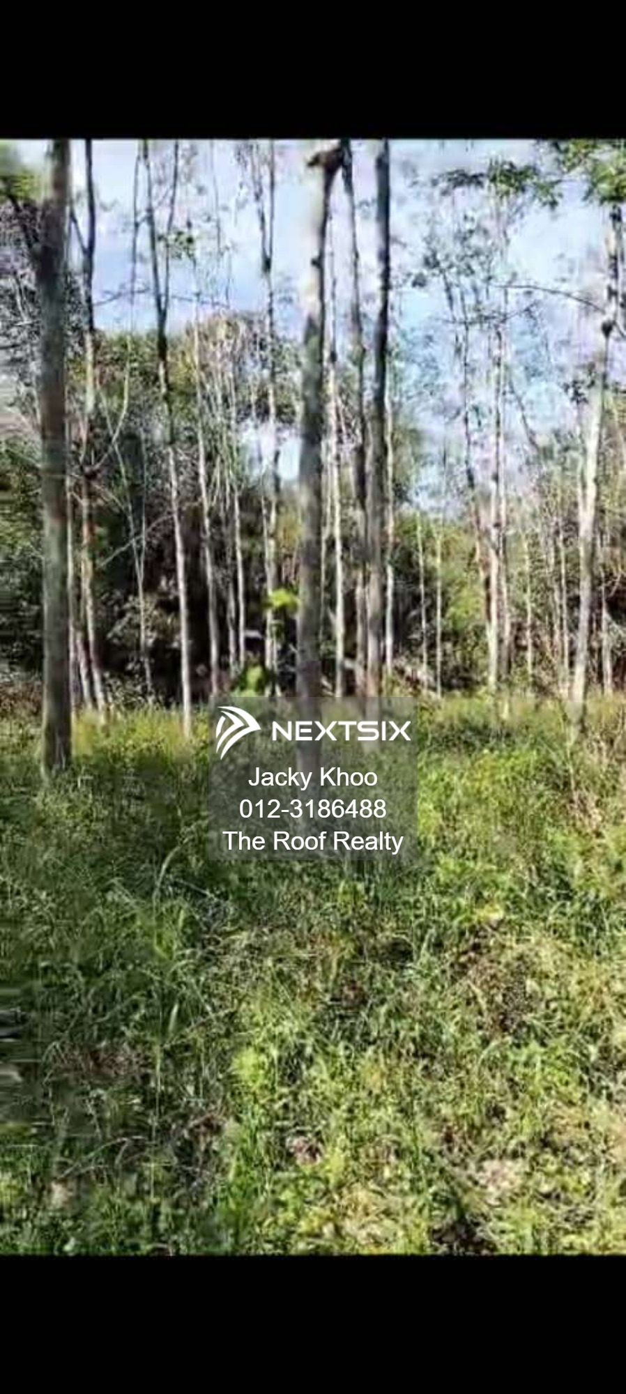 Agricultural Land For Sale in Slim River Perak - Image 6