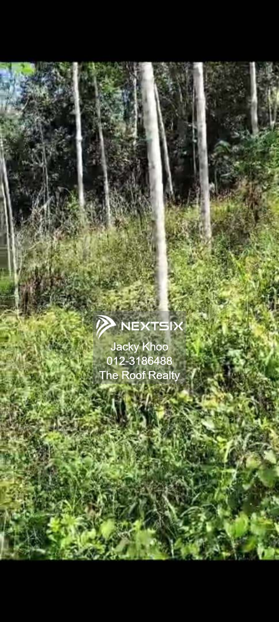 Agricultural Land For Sale in Slim River Perak - Image 7