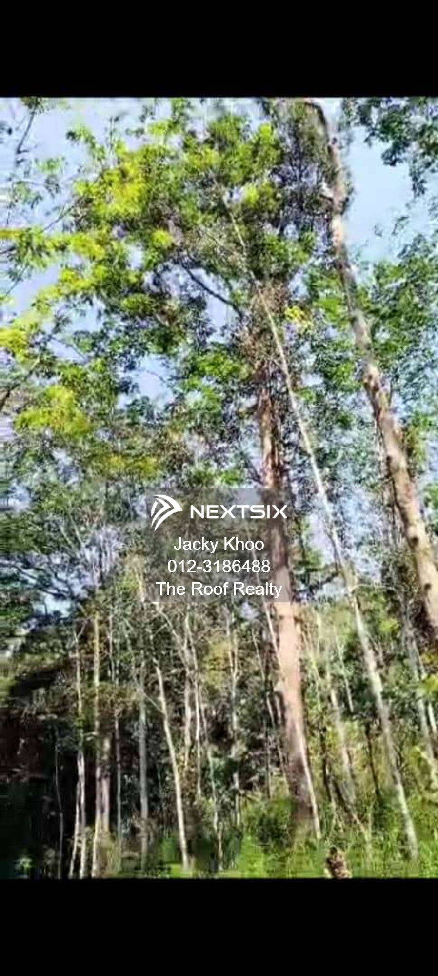 Agricultural Land For Sale in Slim River Perak - Image 8