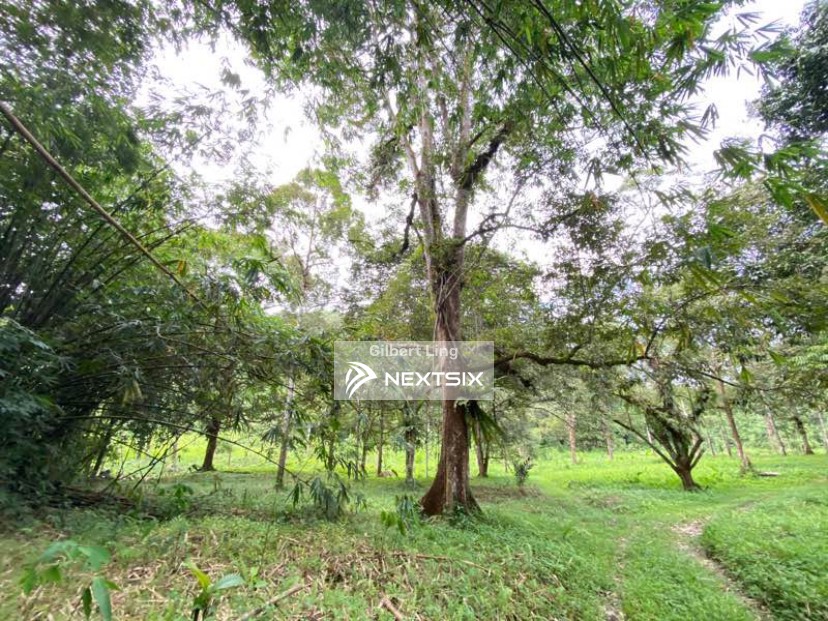 Agricultural Land For Sale in Serian Sarawak