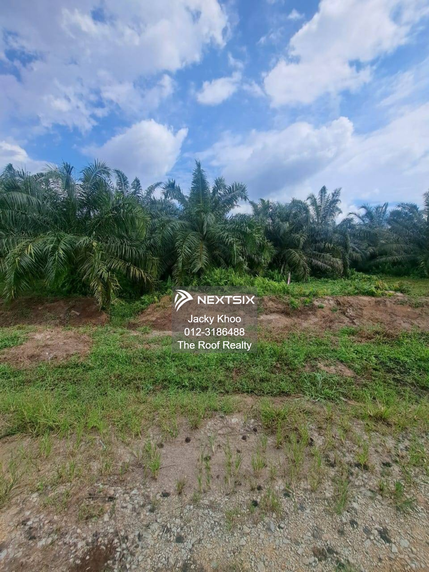 Agricultural Land For Sale in Banting Selangor